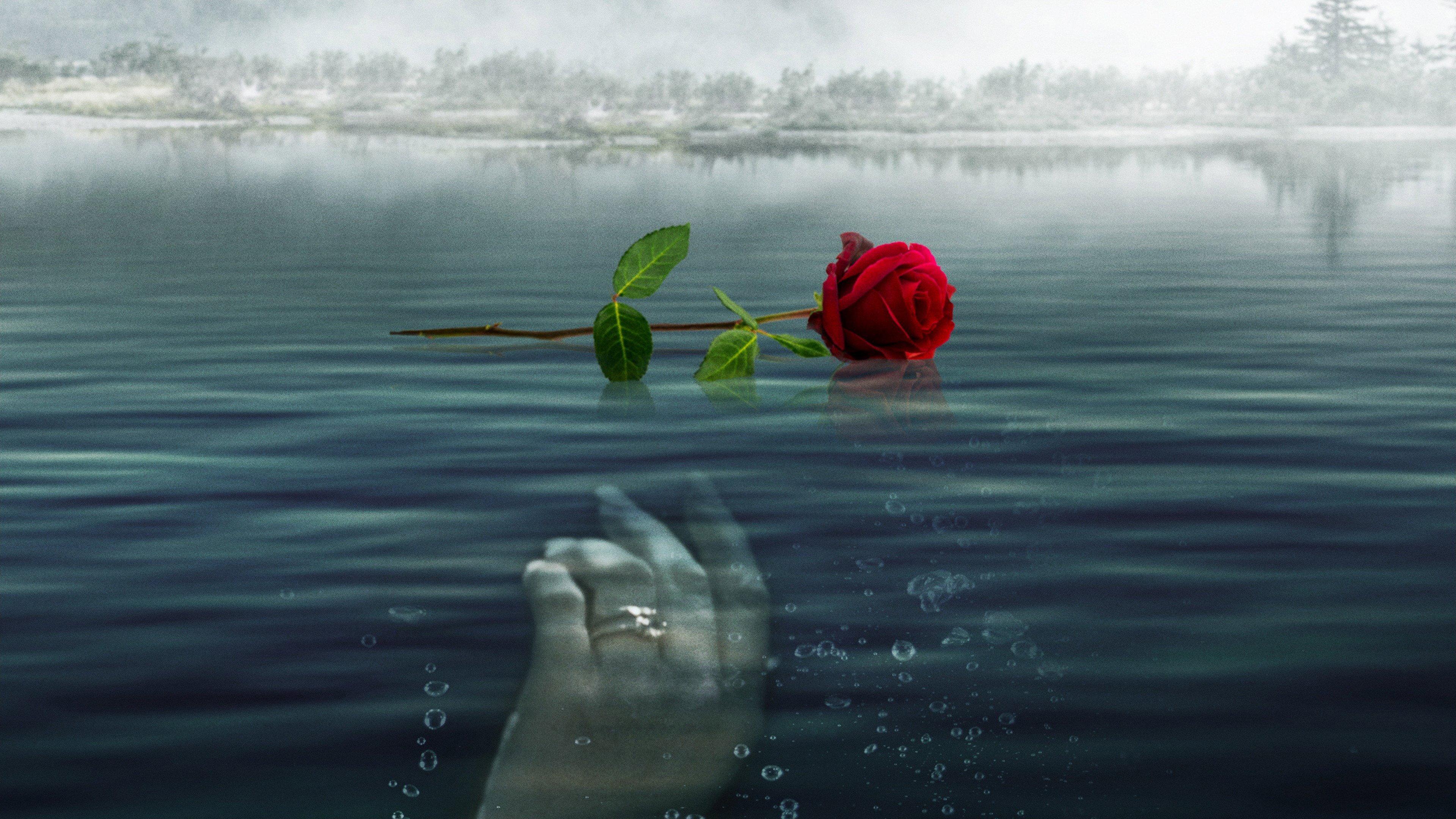 A Rose for Her Grave: The Randy Roth Story 2023 movie scene