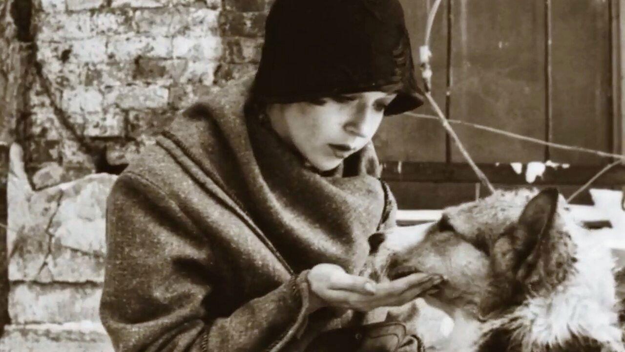 Heart of a Dog 1988 movie scene