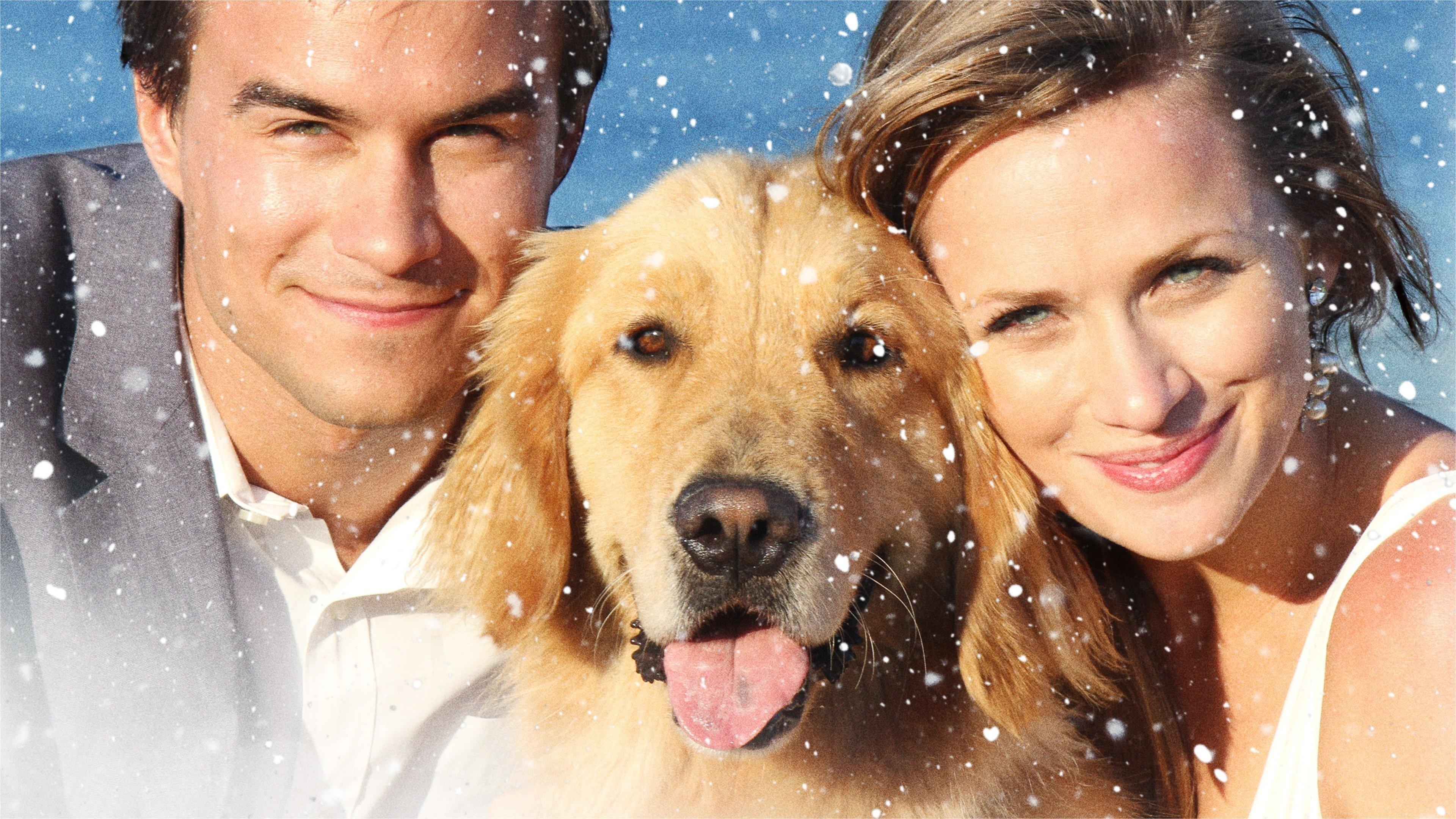 A Golden Christmas 3 2012 movie scene