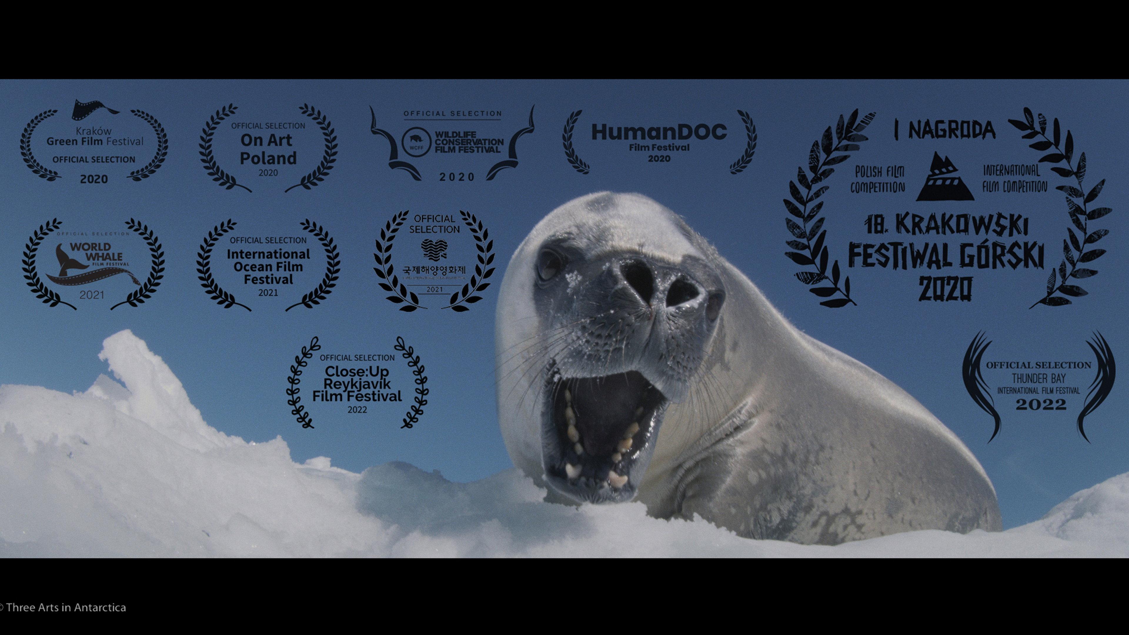 Three Arts in Antarctica 2020 movie scene