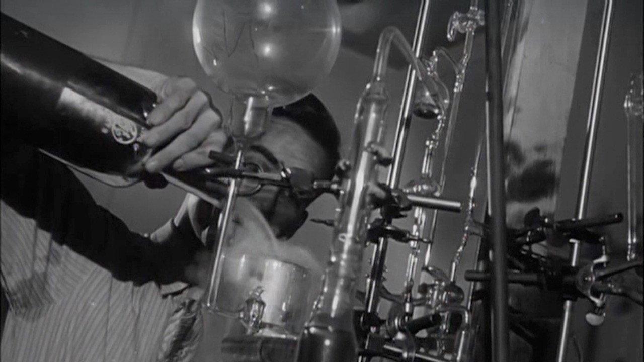 Fortune Seekers 1956 movie scene