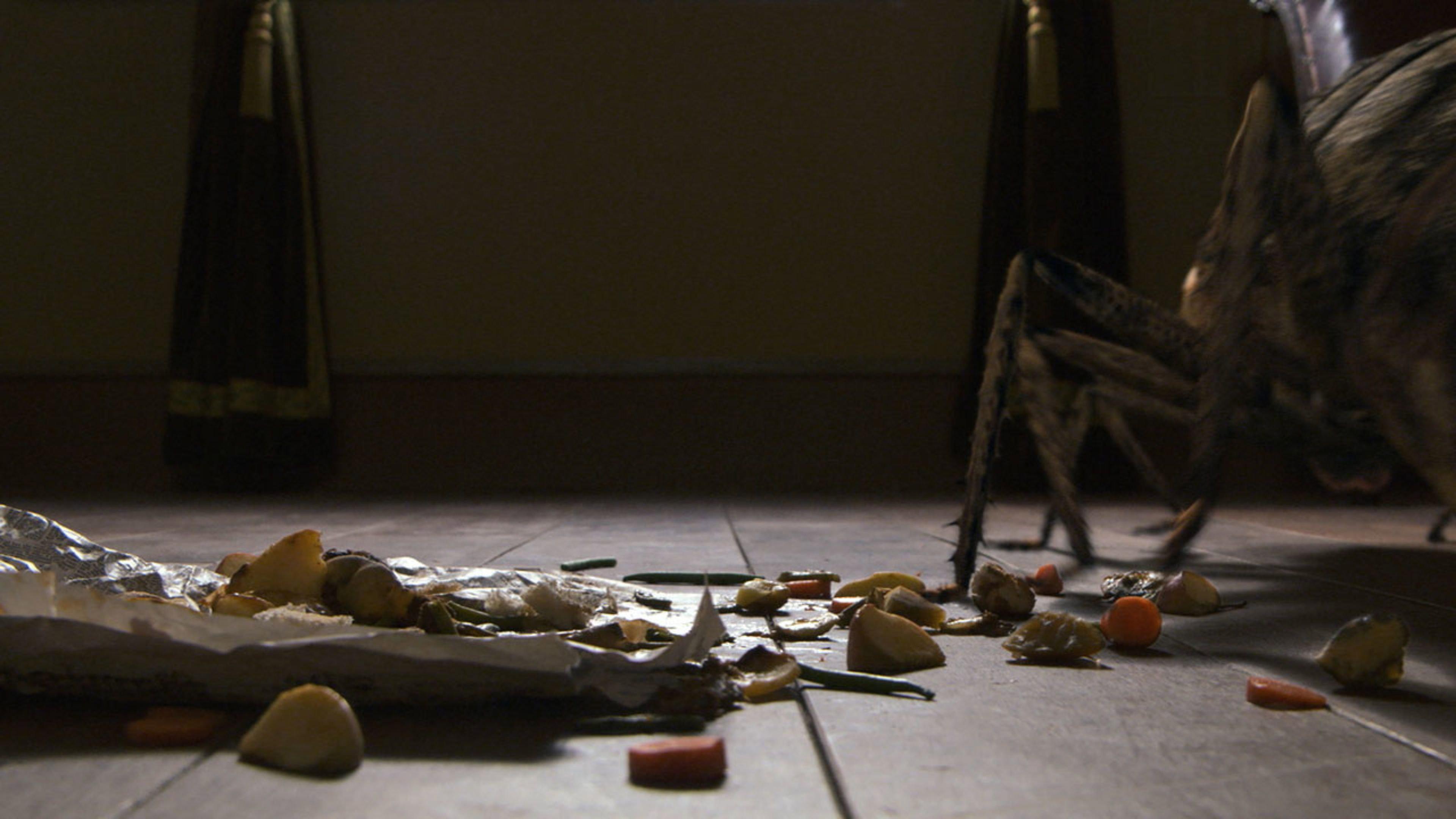 Metamorphosis 2012 movie scene