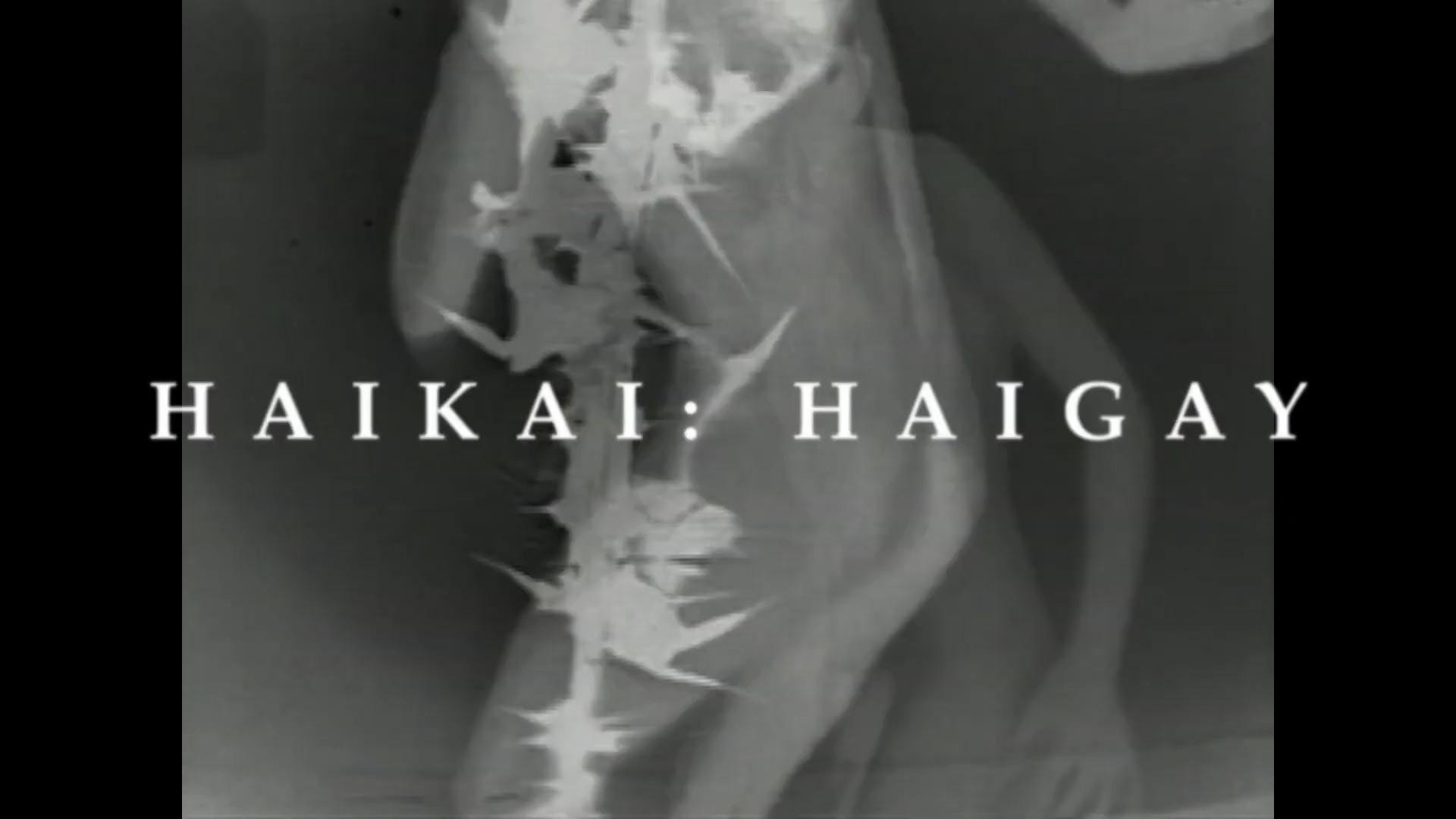 HAIKAI: HAIGAY 2024 movie scene