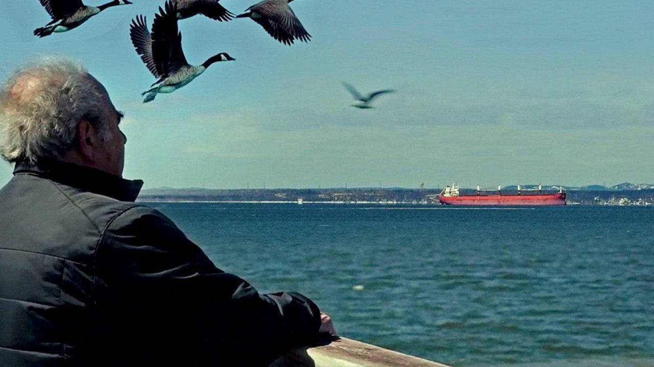La seconda patria - Another Homeland 2019 movie scene