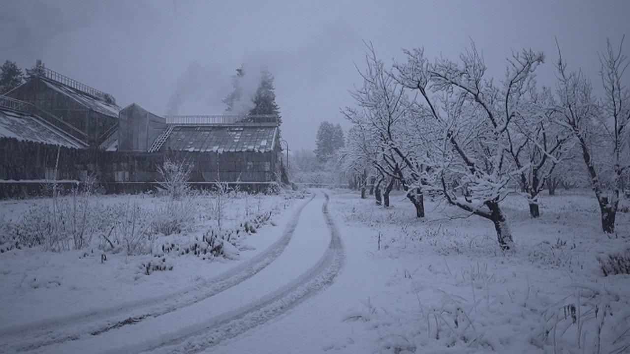 The Winter Garden's Tale 2017 movie scene