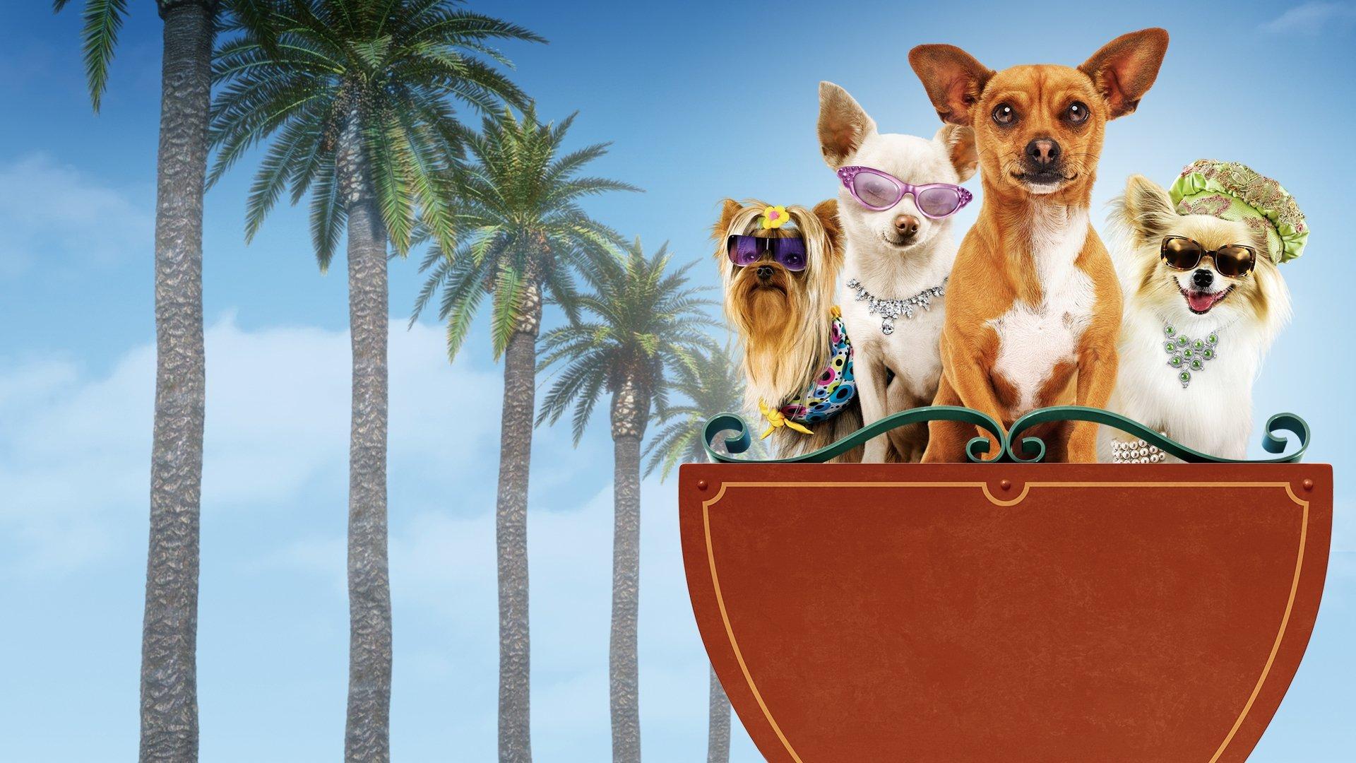 Beverly Hills Chihuahua 2008 movie scene