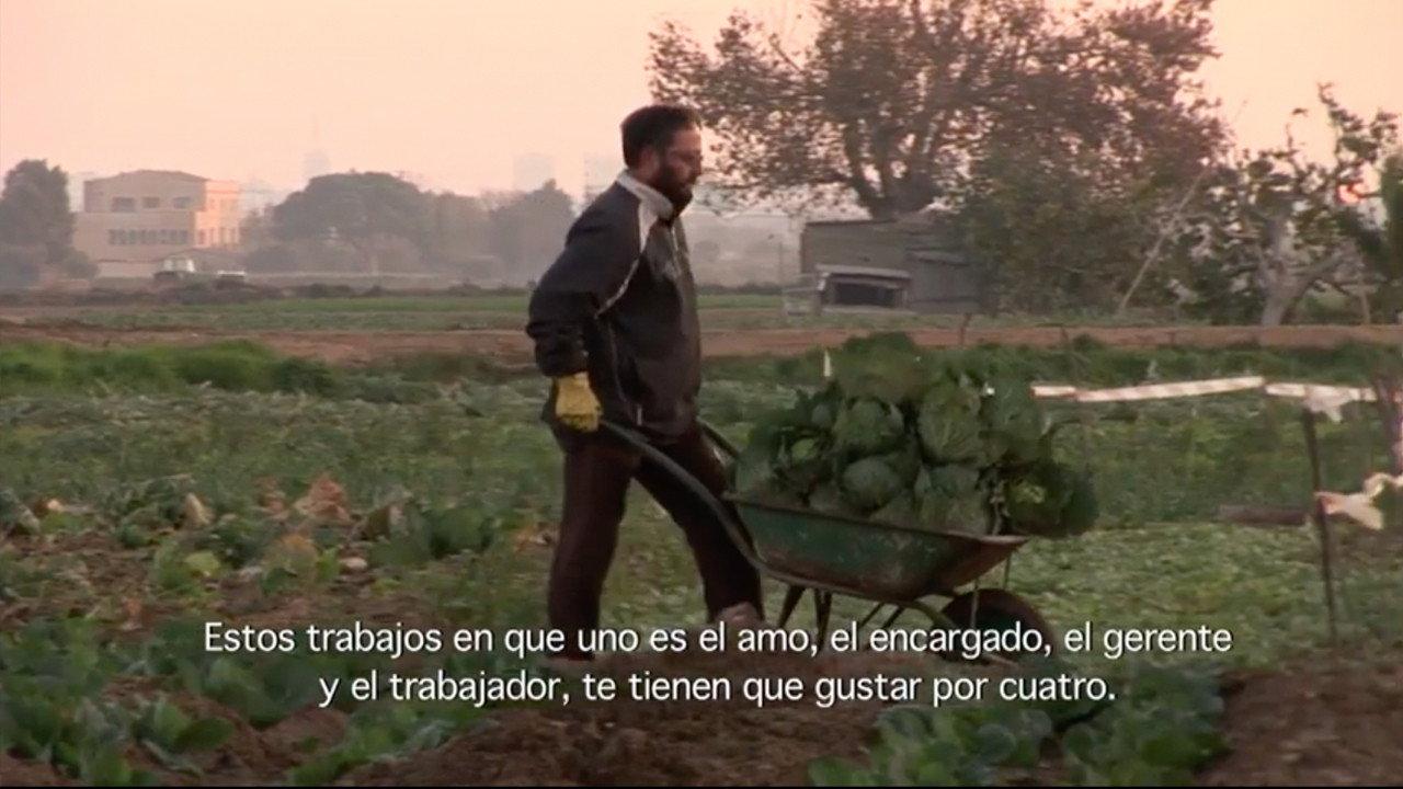 Plou I Fa Sol 2012 movie scene