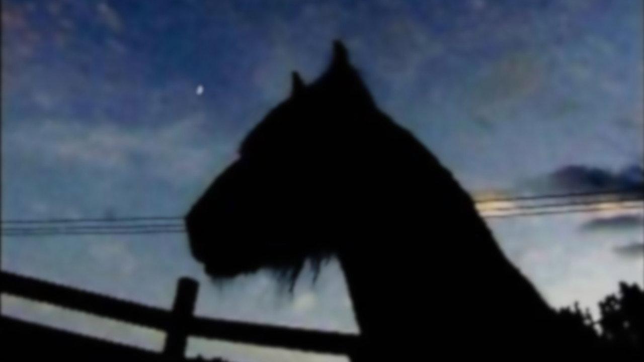 The Circus Horse 2003 movie scene