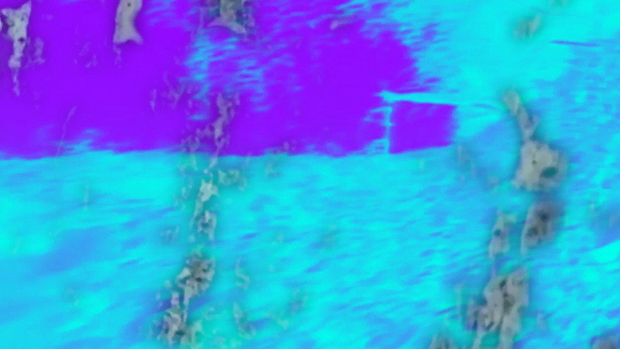 Experiment One: Lost 2017 movie scene