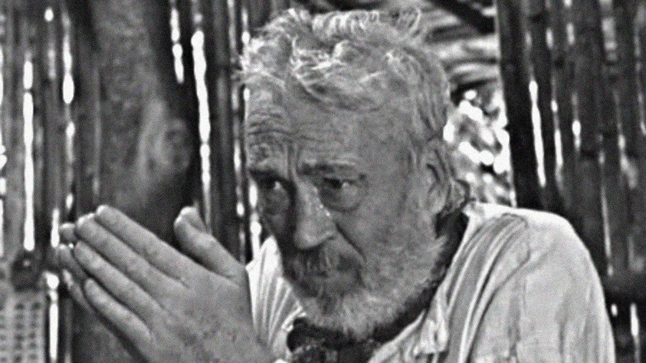 The Bridge in the Jungle 1971 movie scene