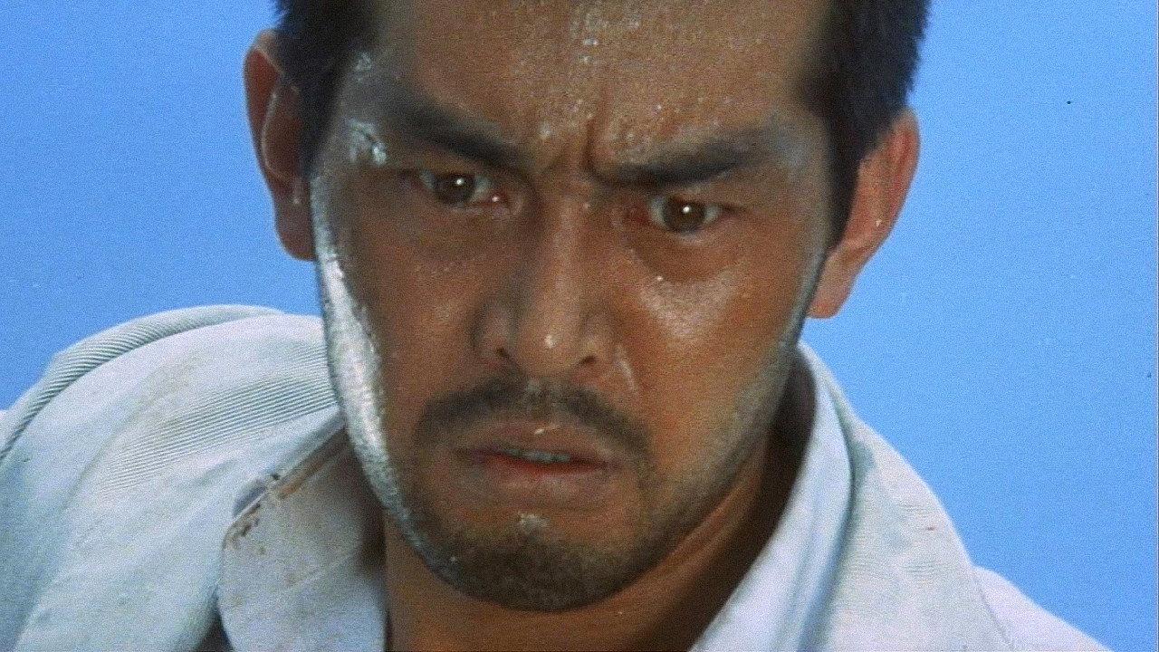 Stray Dog 1973 movie scene