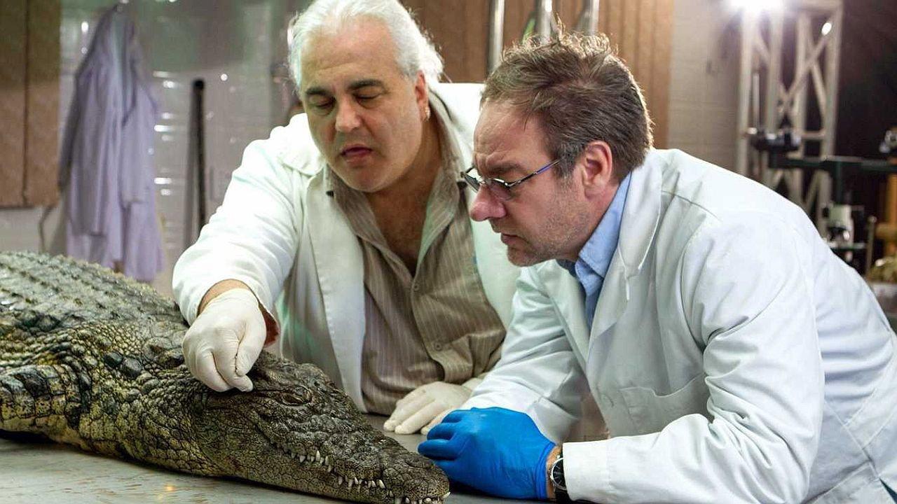 Das Krokodil - Innenansichten eines Kraftpakets 2017 movie scene