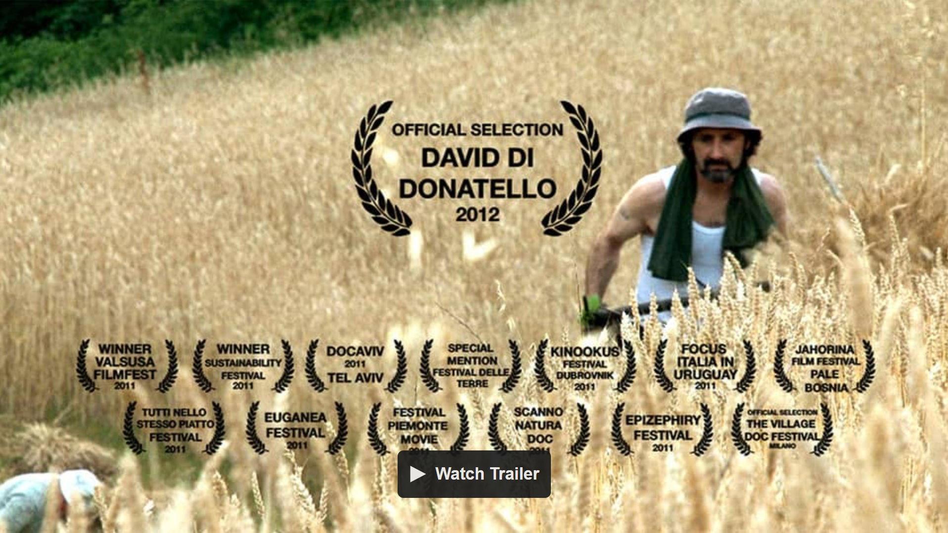 Langhe Doc 2011 movie scene