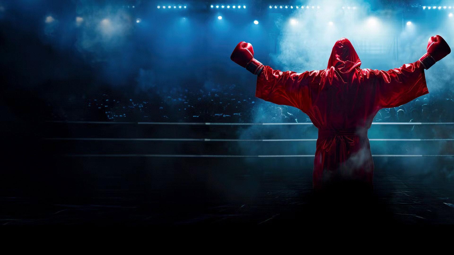 Regina Halmich vs. Stefan Raab - The Final Fight 2024 movie scene