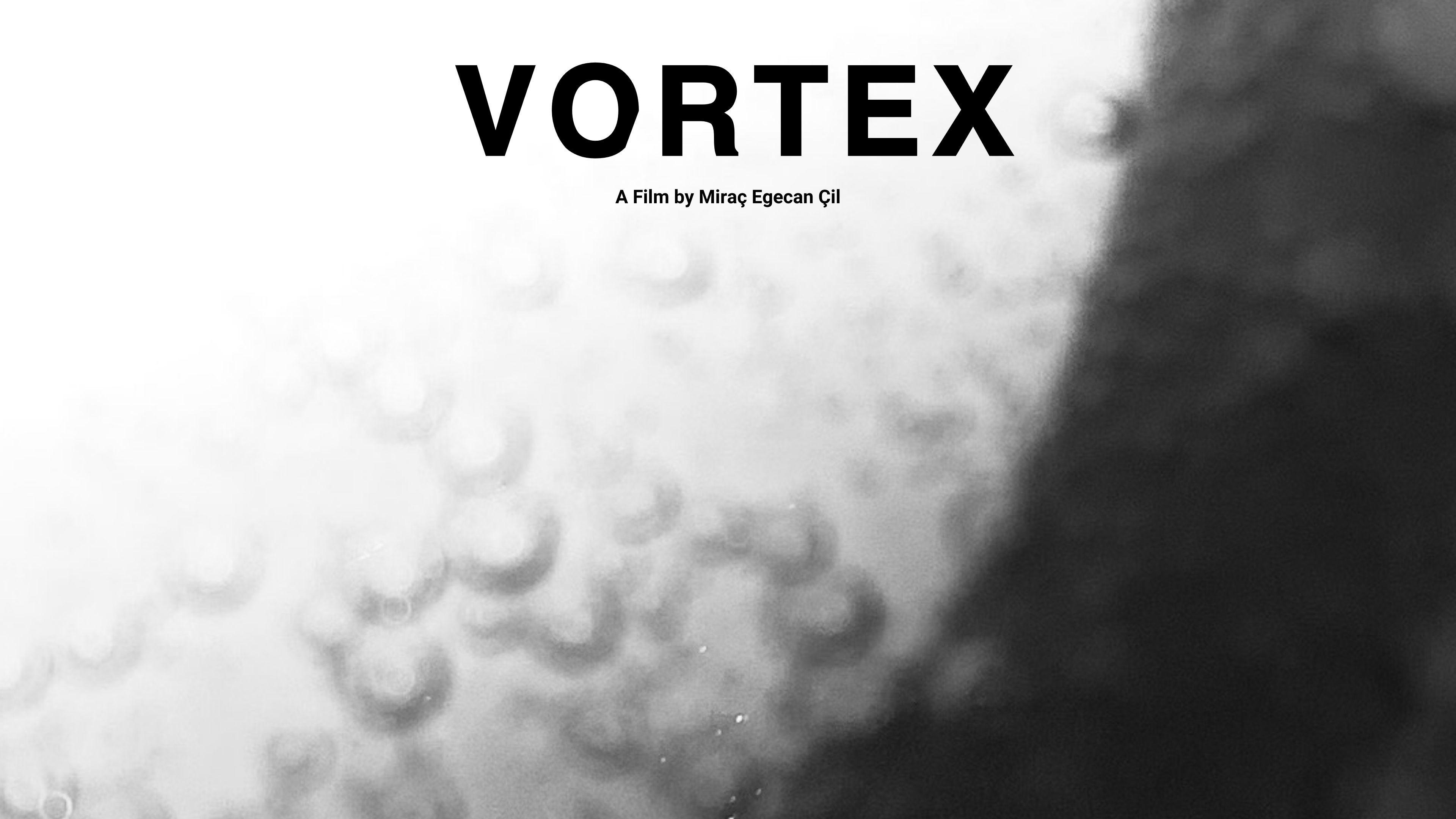 Vortex 2024 movie scene