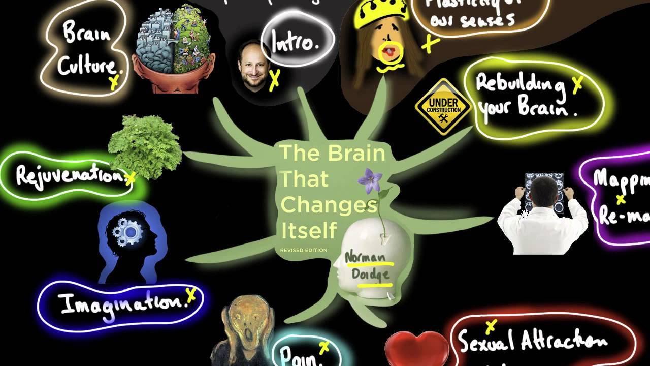 The Brain That Changes Itself 2008 movie scene