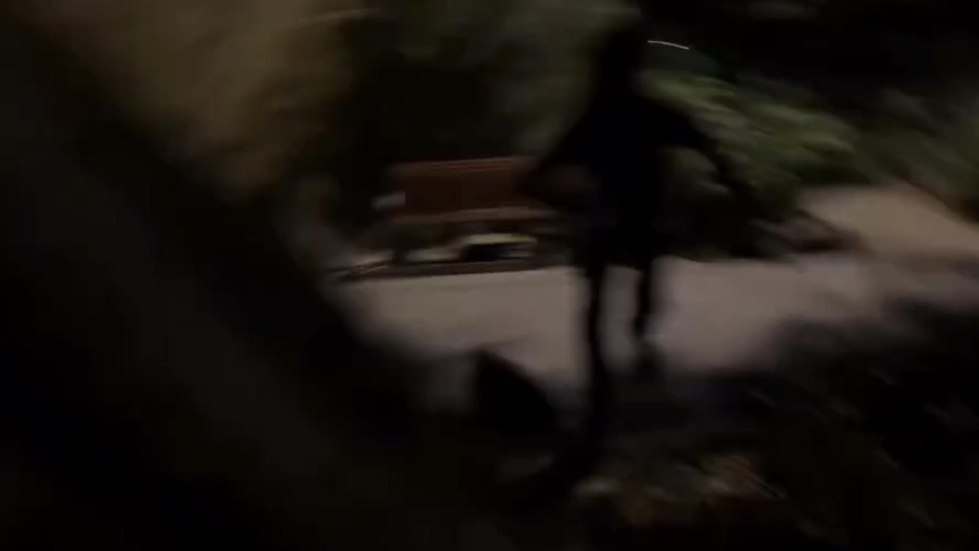 Schizo Time 2026 movie scene