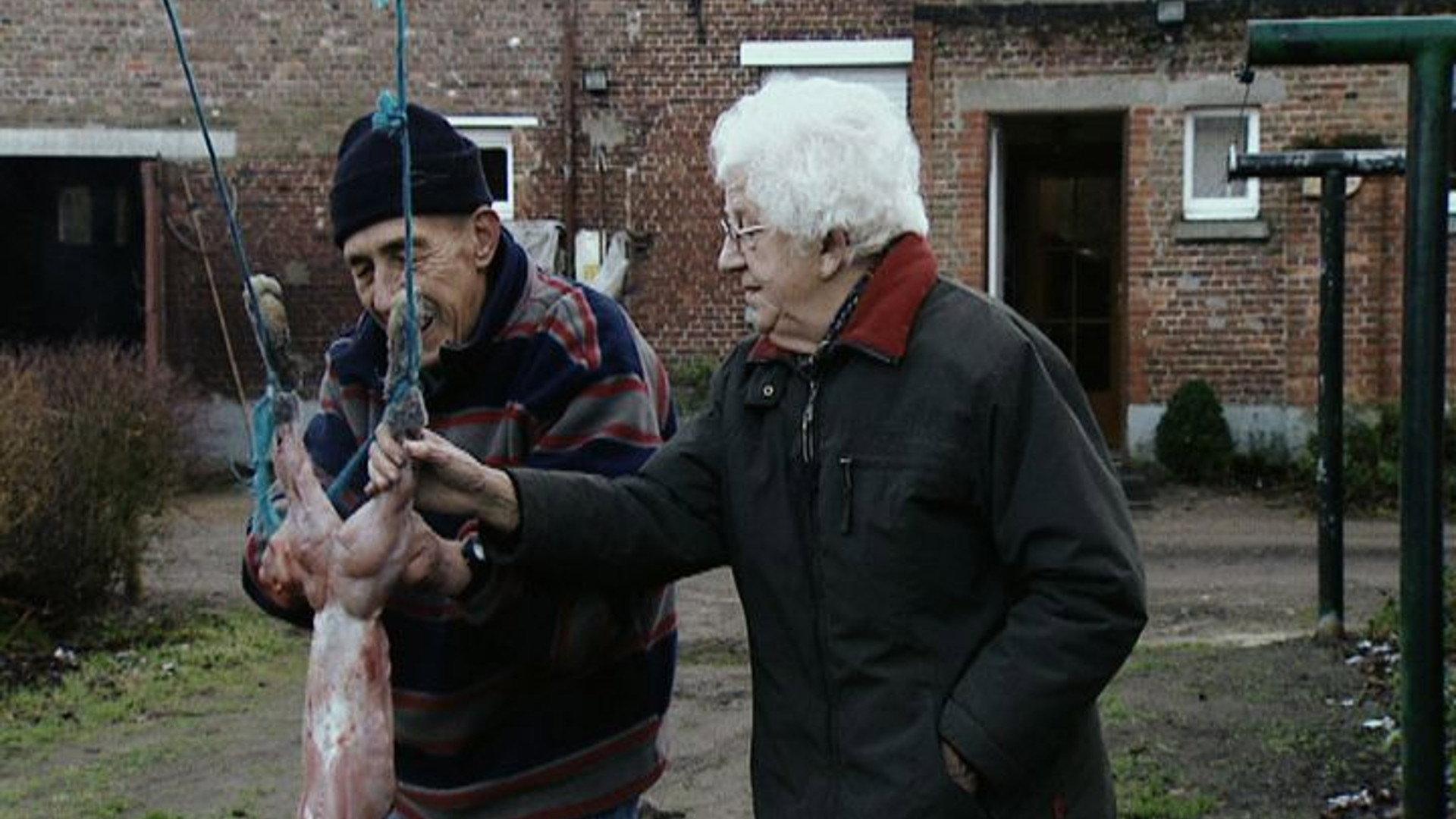 Geel 2006 movie scene