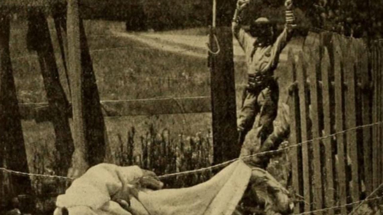 Broncho Bill's Last Spree 1911 movie scene