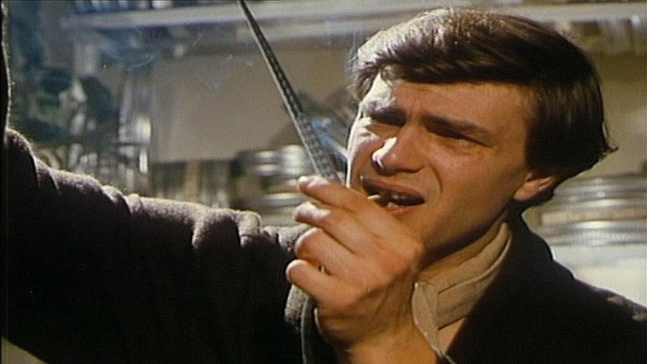 Sibylle 1979 movie scene