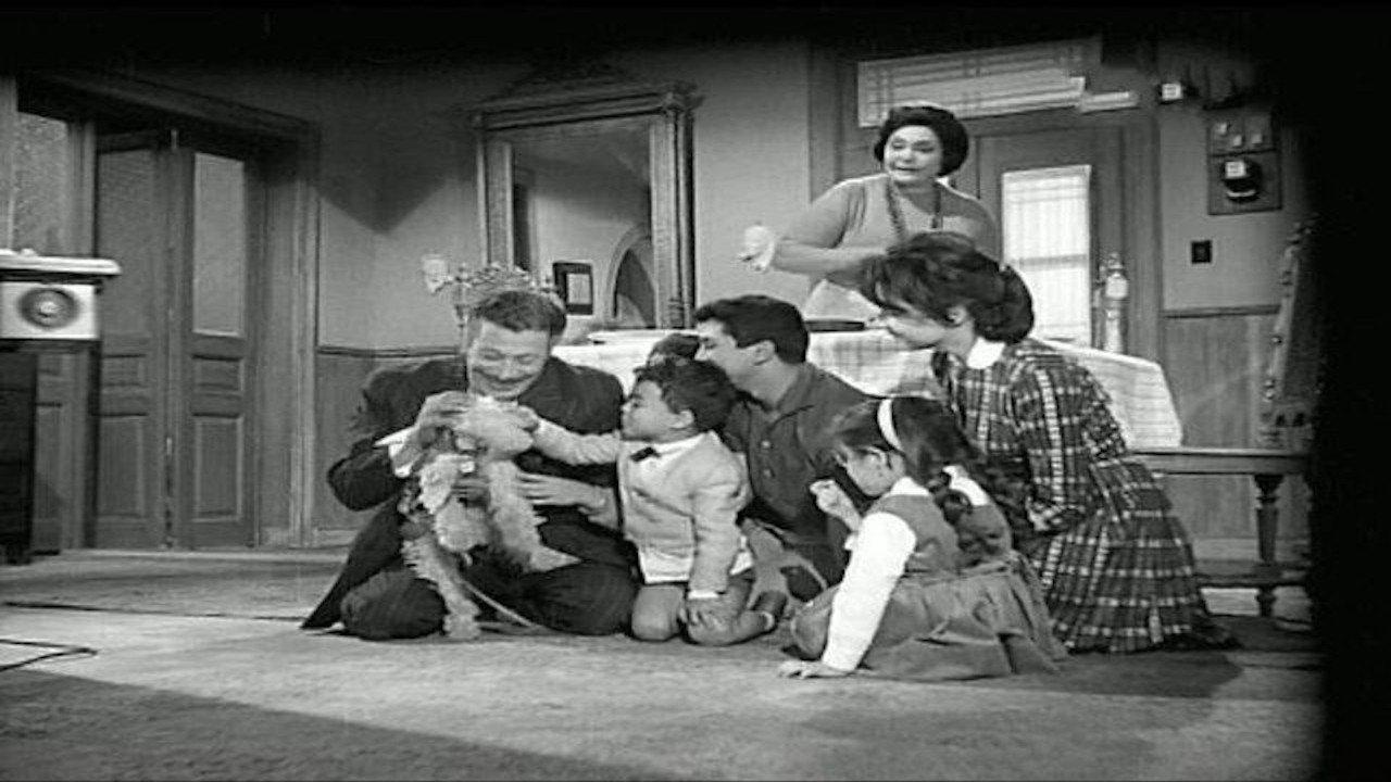 Mother of the Bride 1963 movie scene