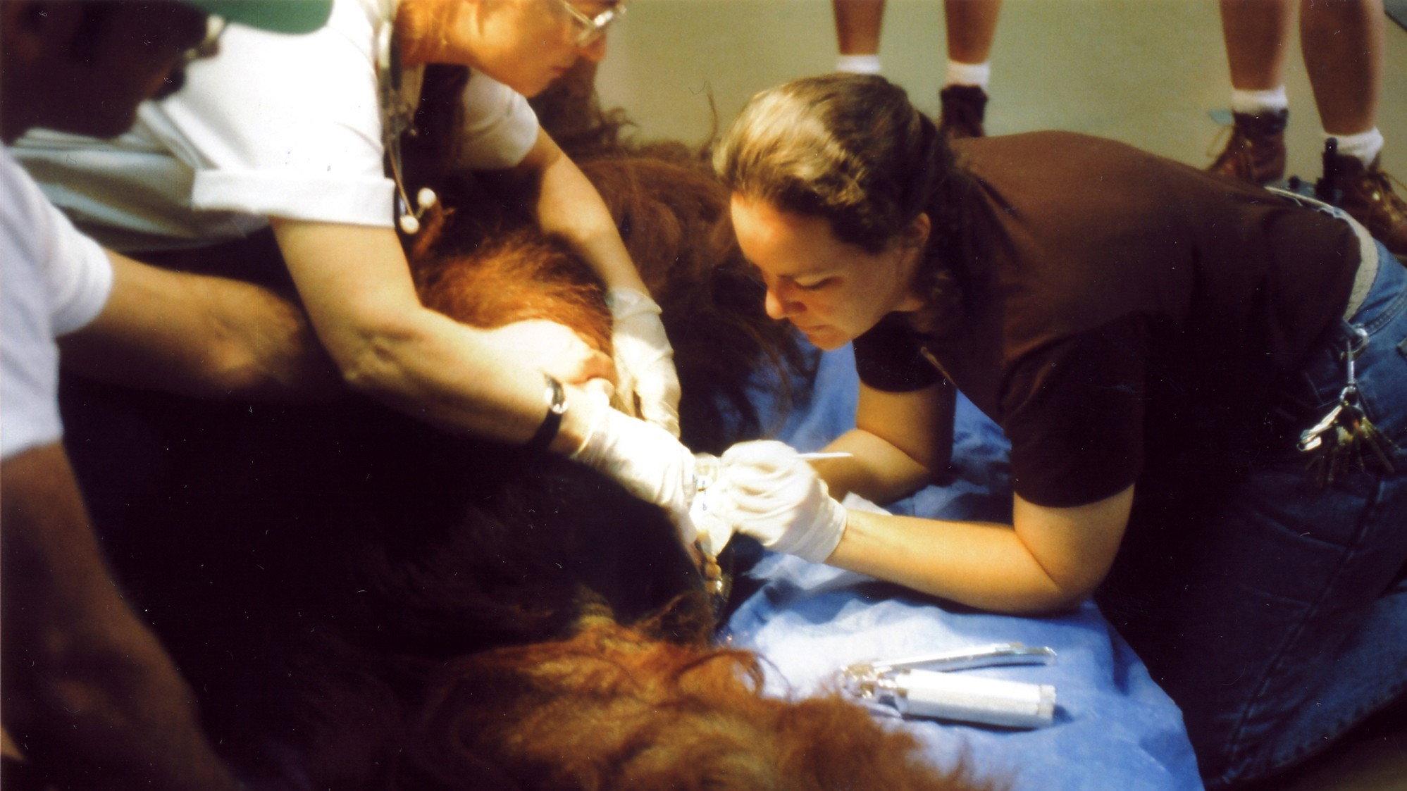 Zoo 1993 movie scene