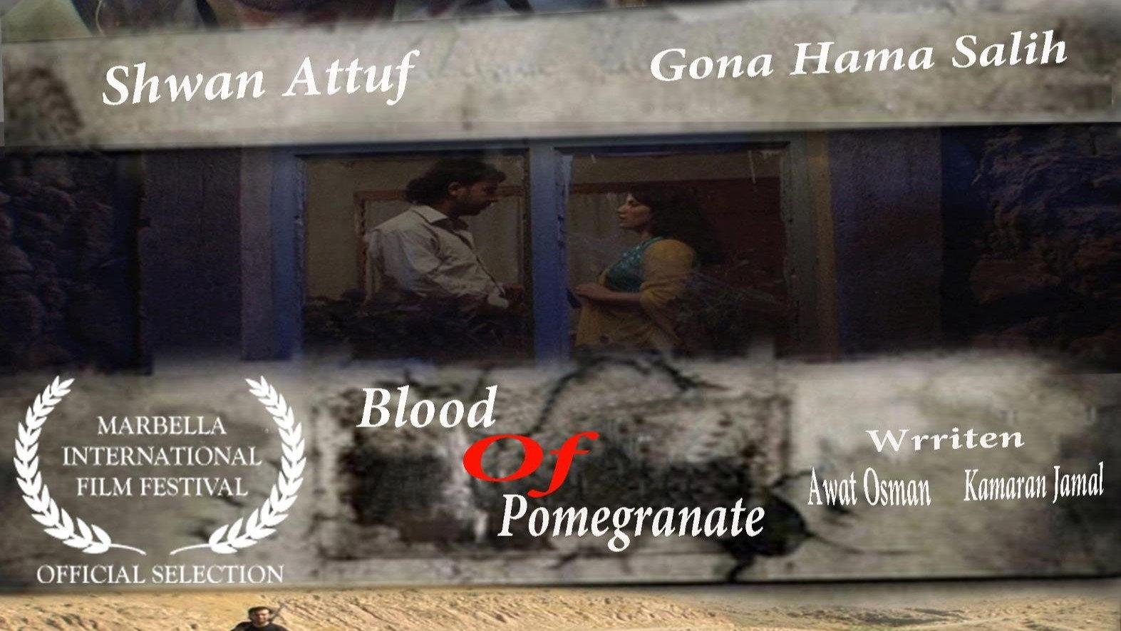 Blood of Pomegranate 2011 movie scene