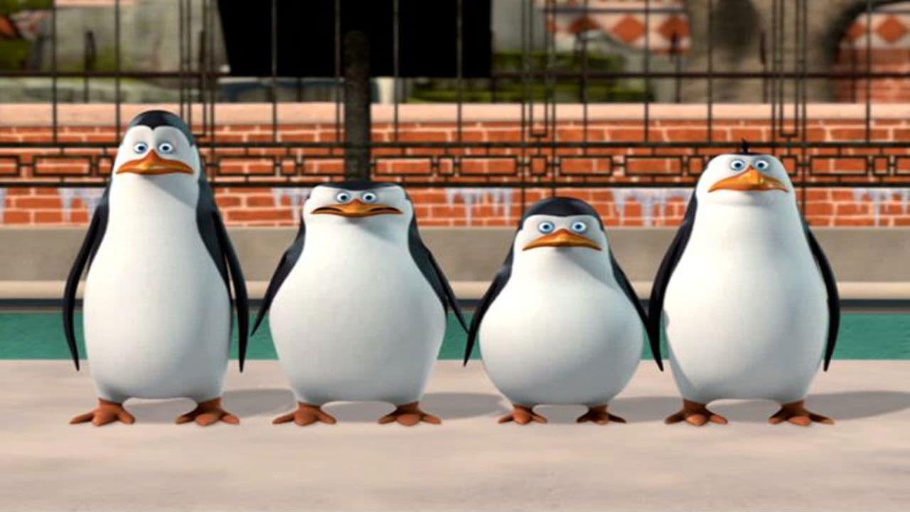 The Penguins of Madagascar: New to the Zoo 2010 movie scene
