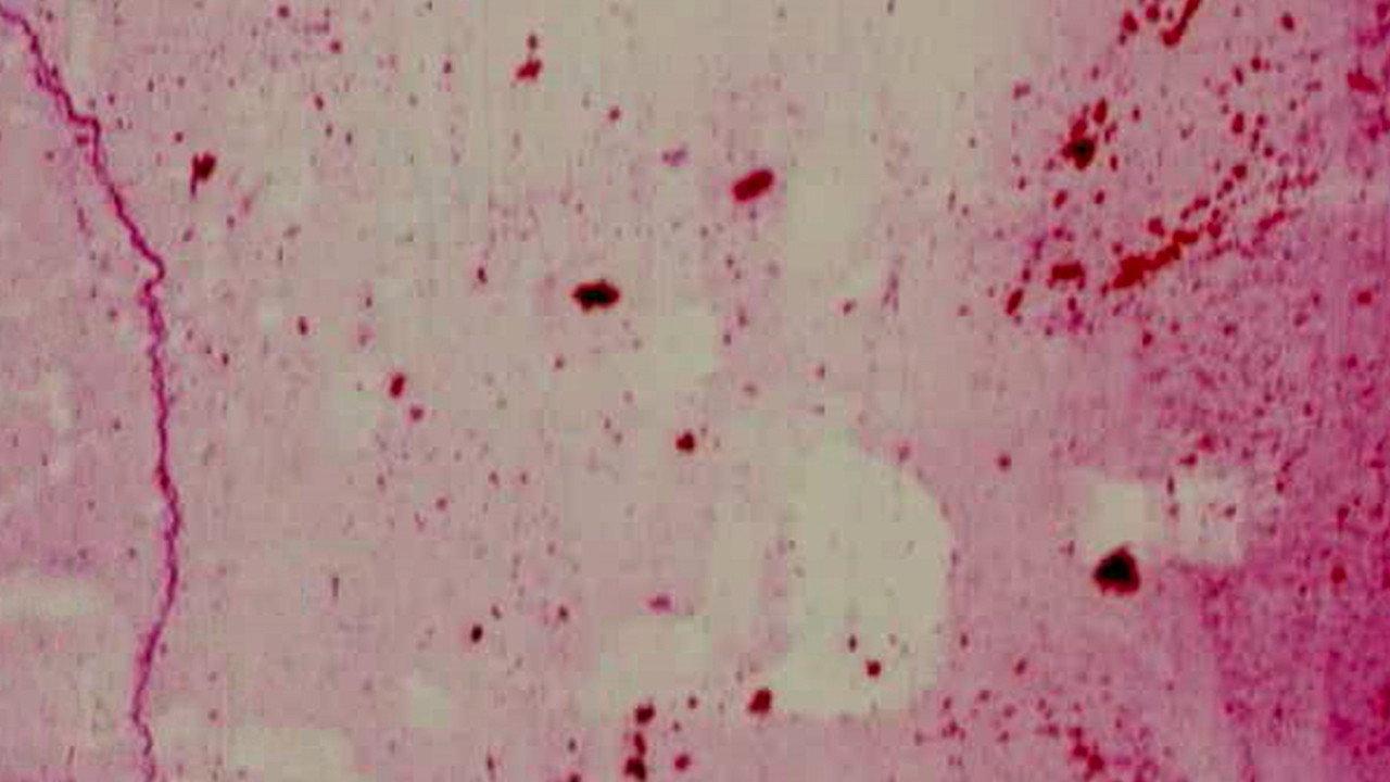 The Red Thread 1993 movie scene