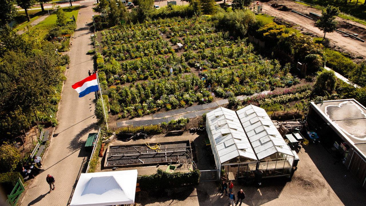 The Schoolgarden 2020 movie scene