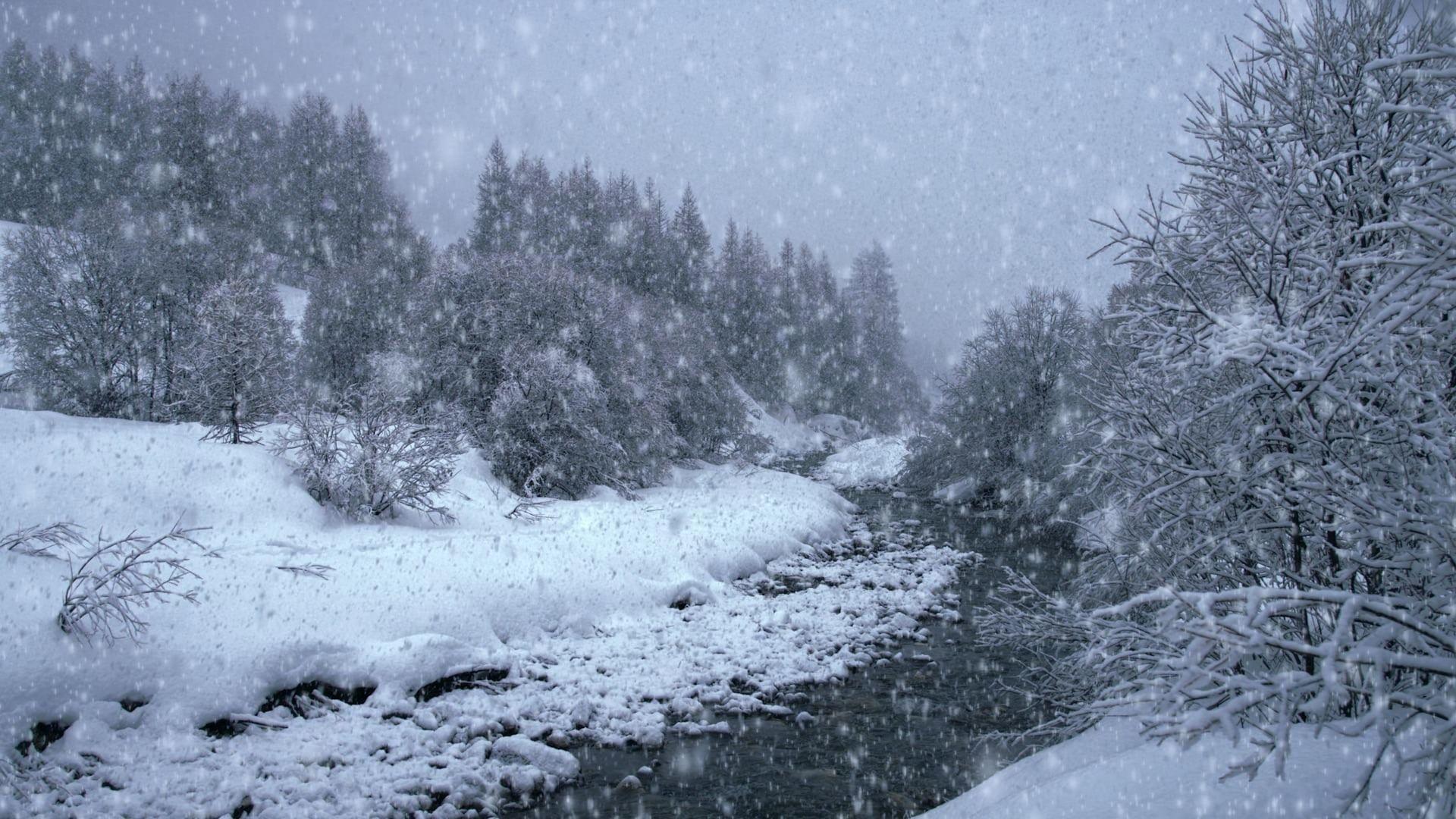 The Search for Snow 2021 movie scene
