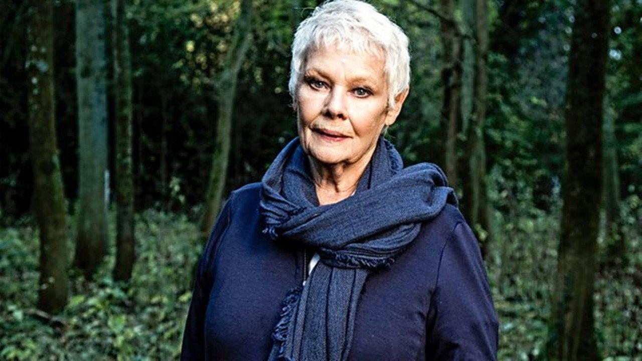 Judi Dench: My Passion for Trees 2017 movie scene