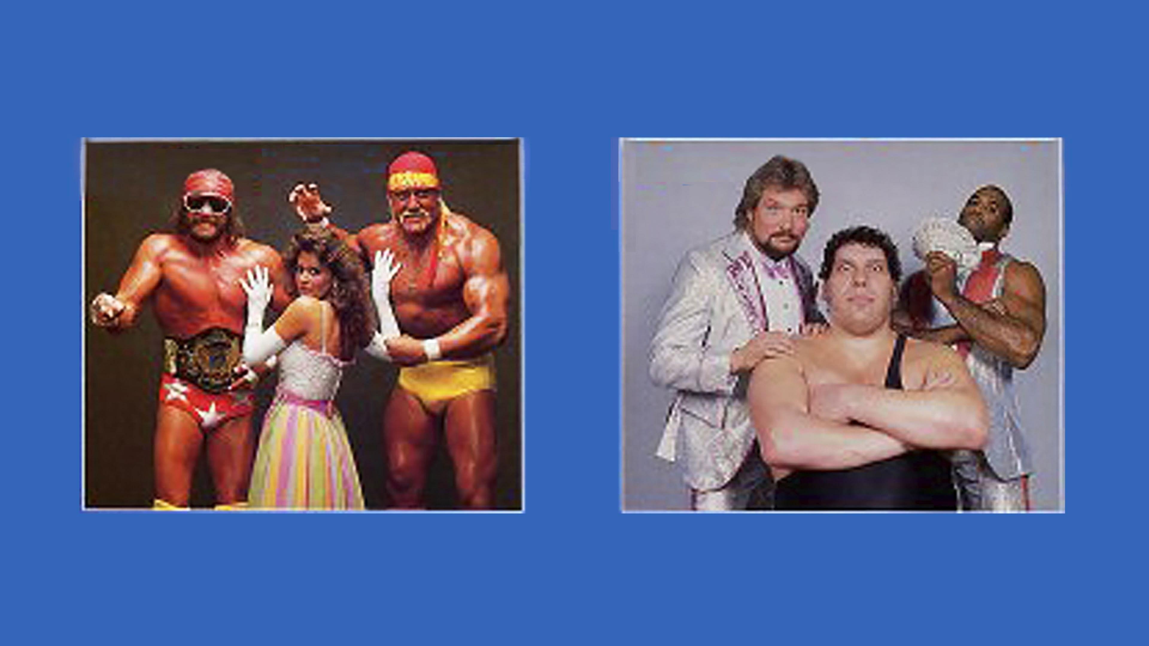 WWE SummerSlam 1988 1988 movie scene