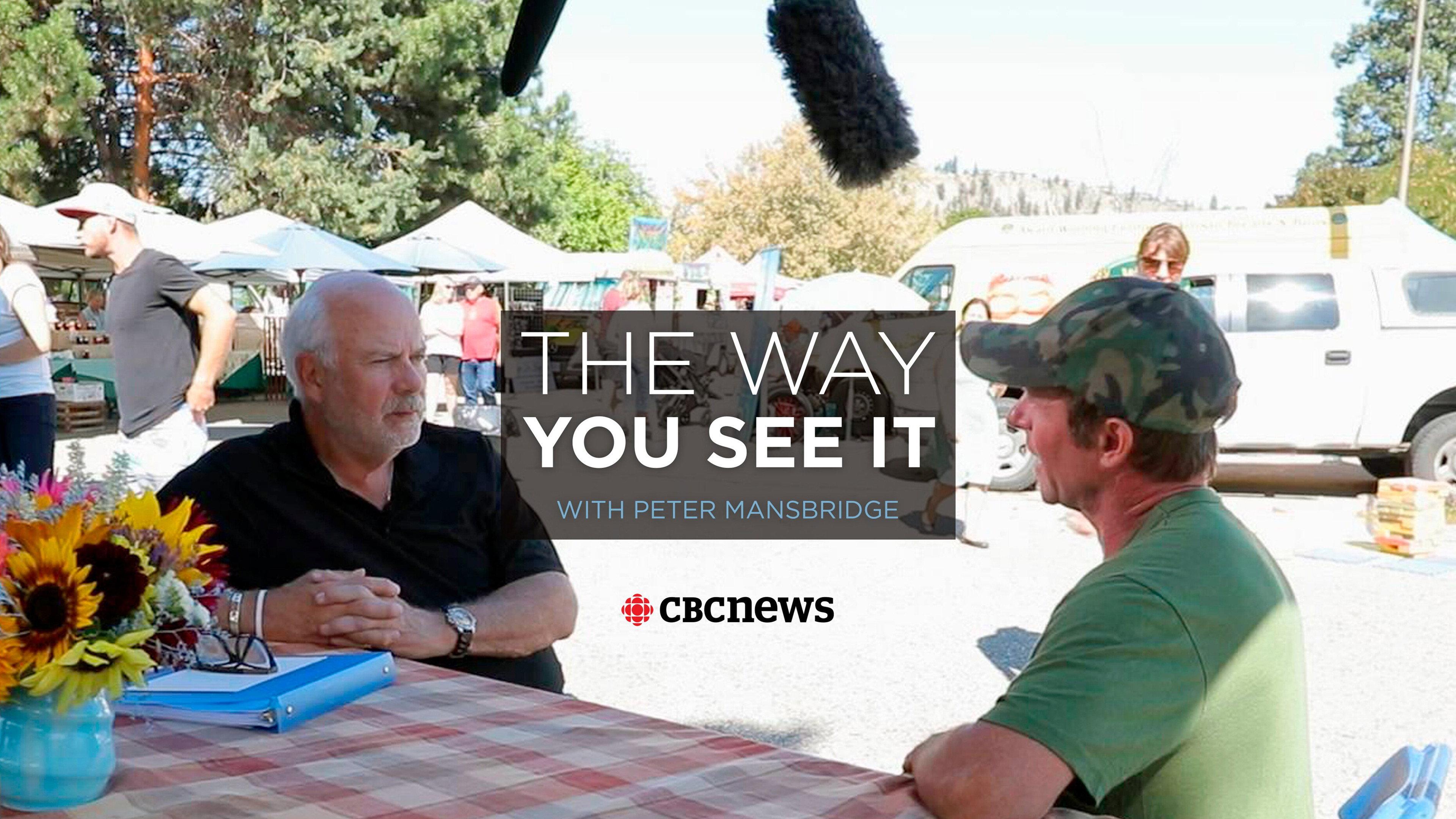 The Way You See It: With Peter Mansbridge 2019 movie scene