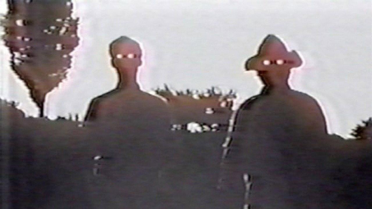 Border Camera 2018 movie scene