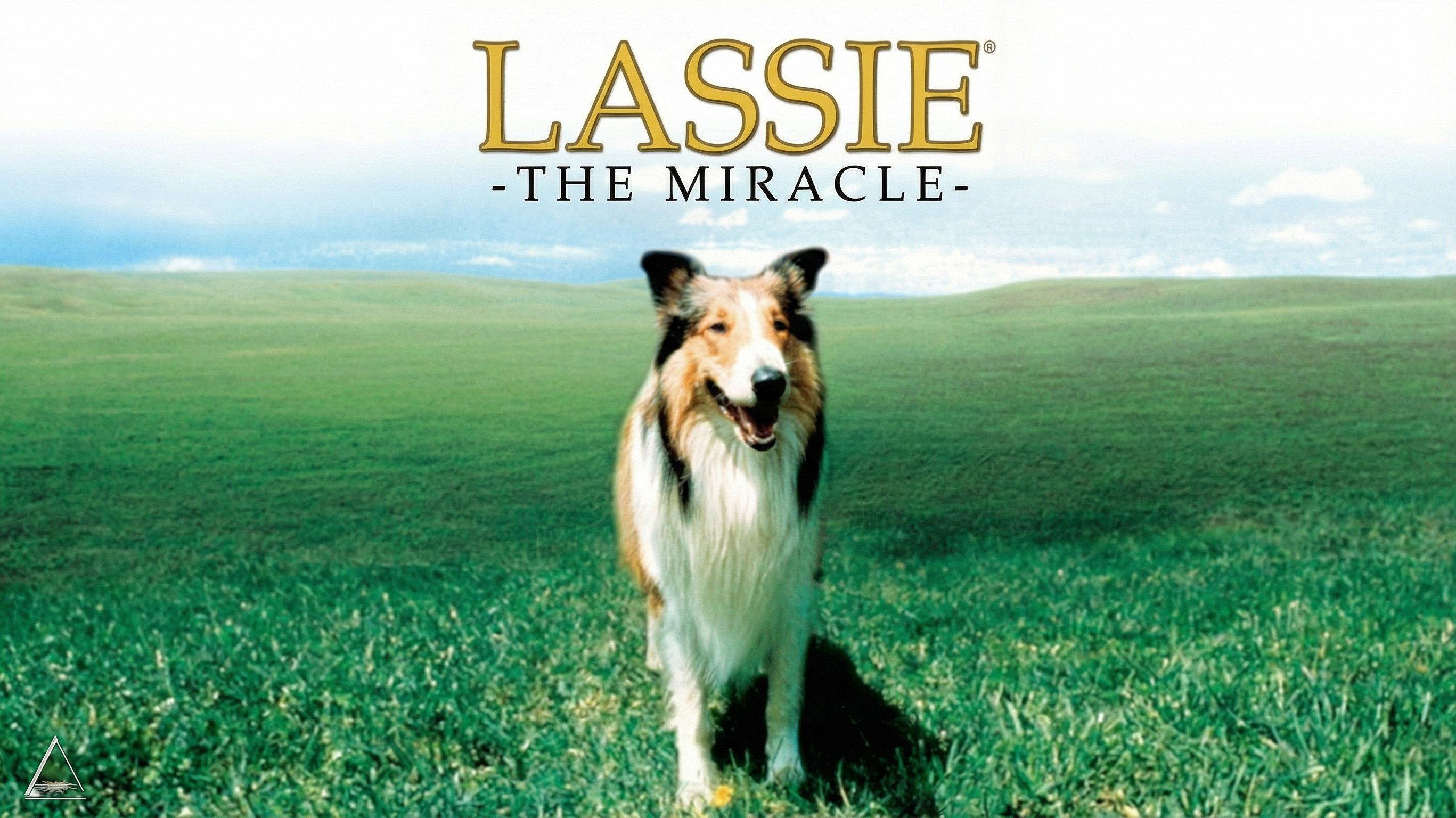 Lassie: The Miracle 2006 movie scene