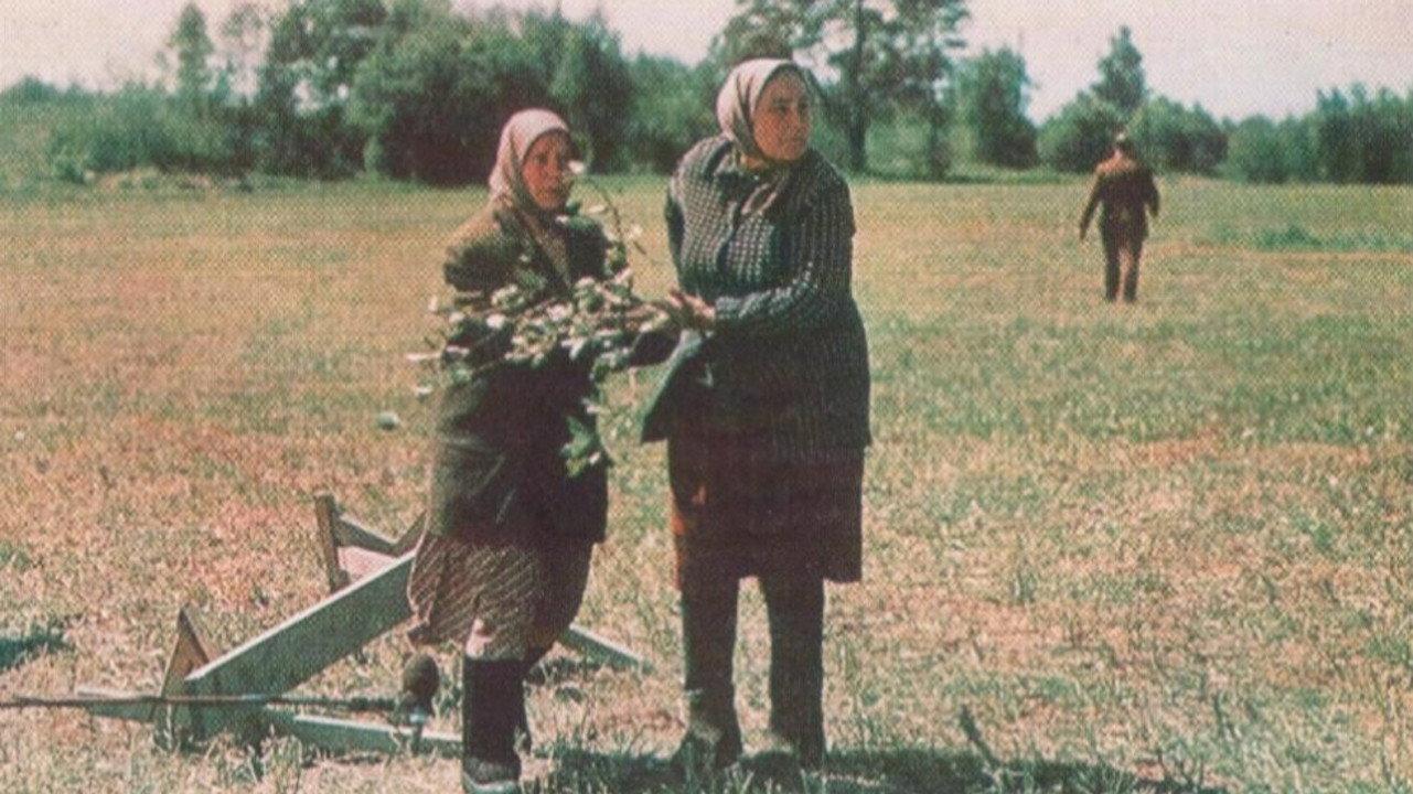 Widows 1977 movie scene