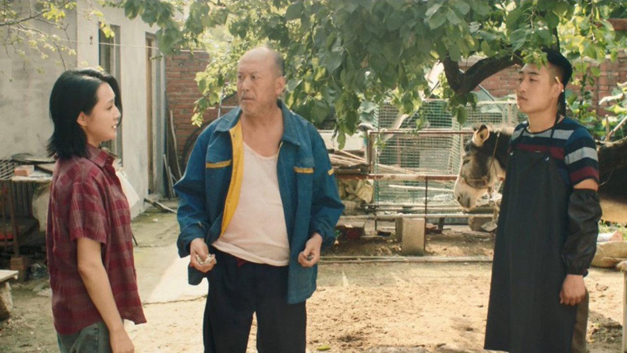 Donkey On The Tree 2: Stubborn Donkey goes on 2020 movie scene