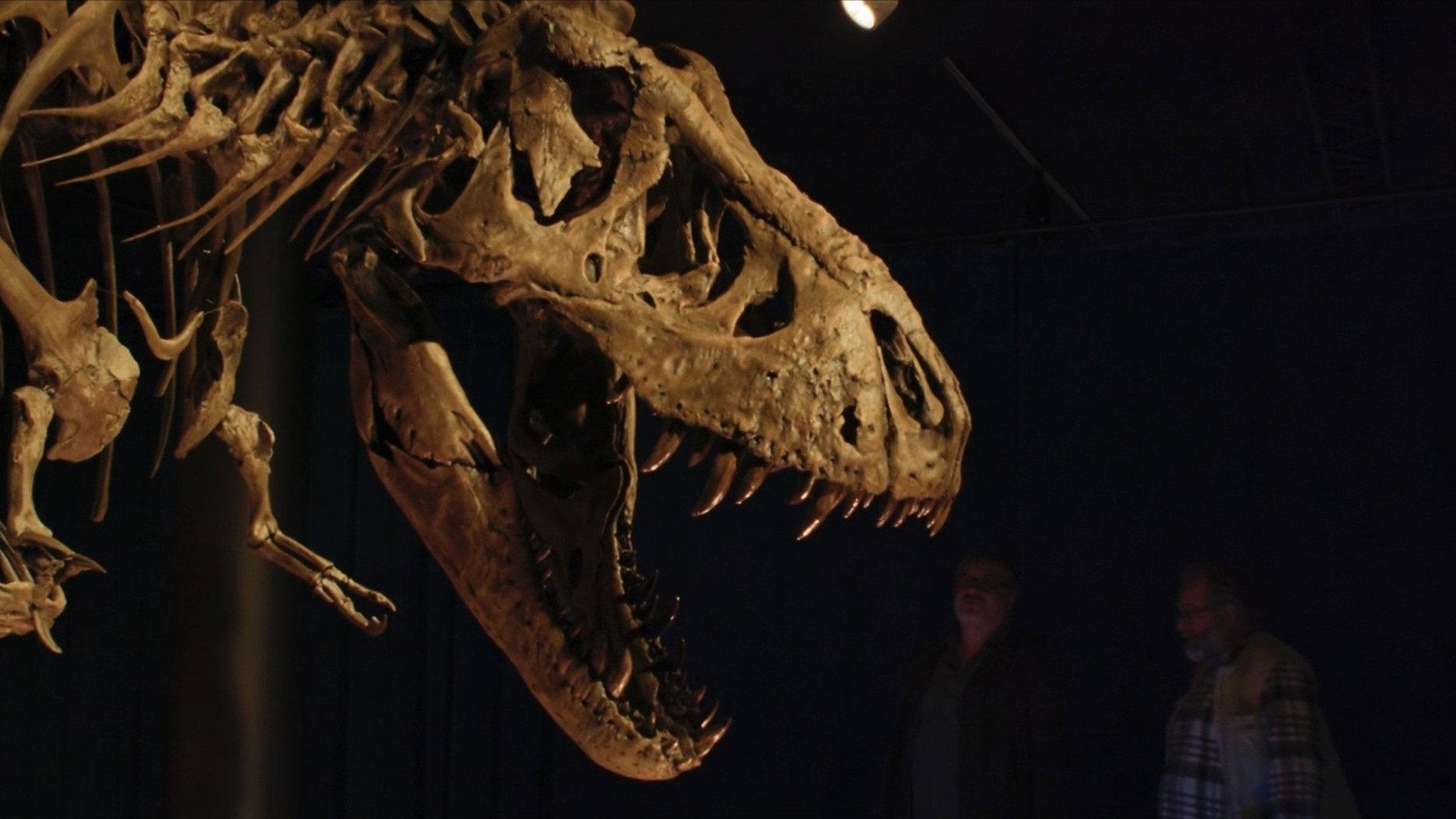 The Bones 2024 movie scene
