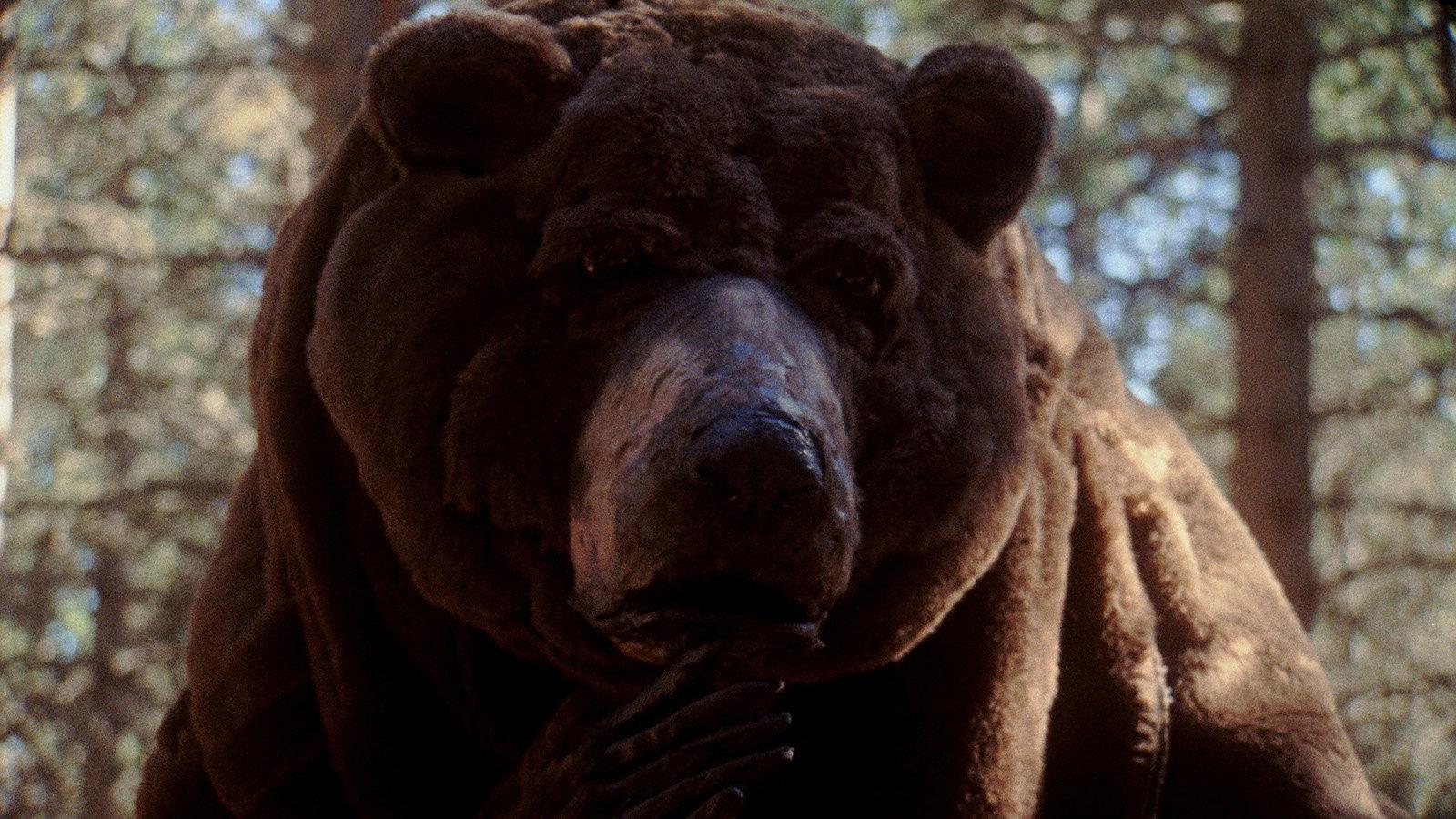 Oso 2021 movie scene