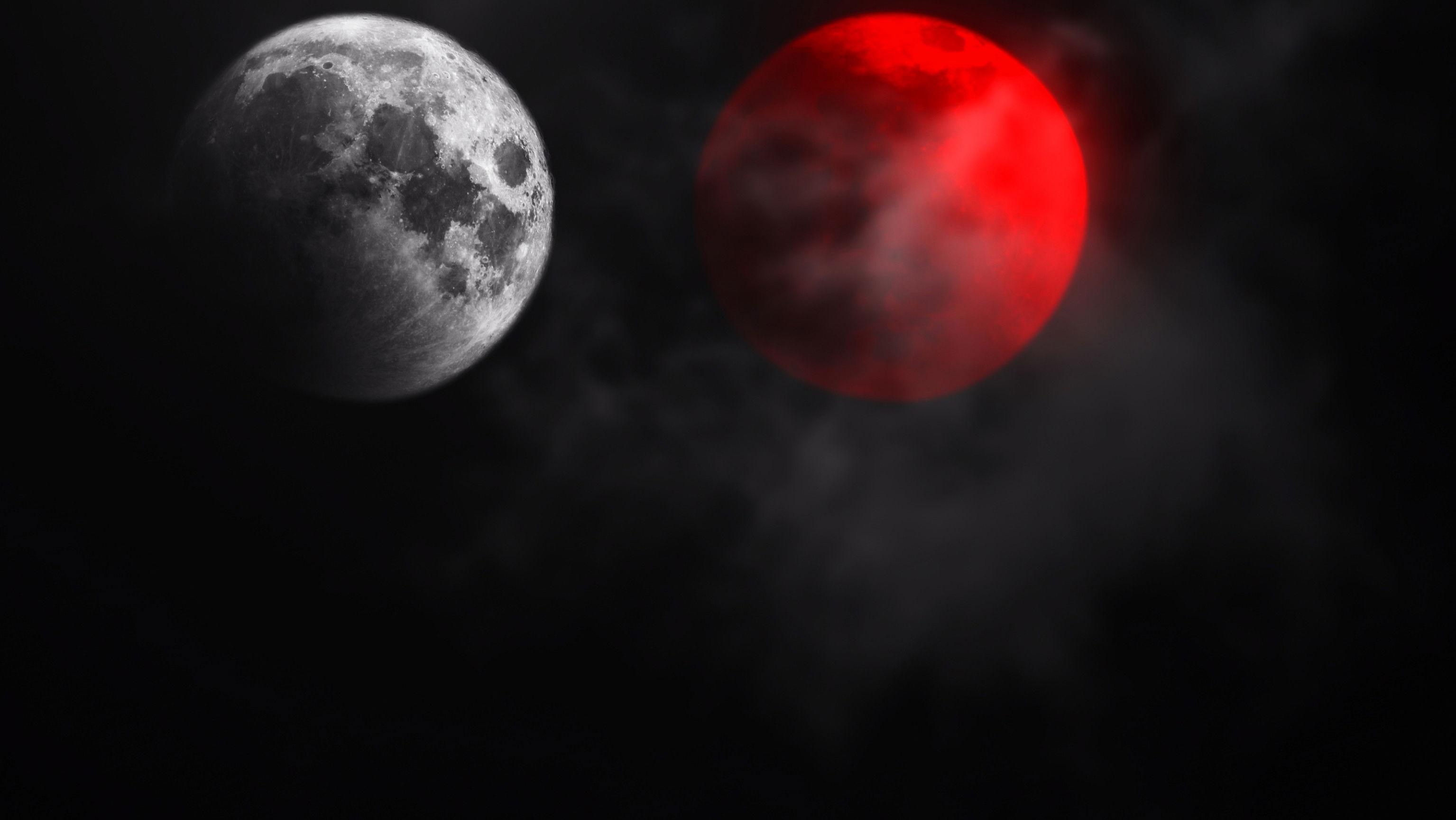 Not All Movies Are the Same: Dual 2025 movie scene