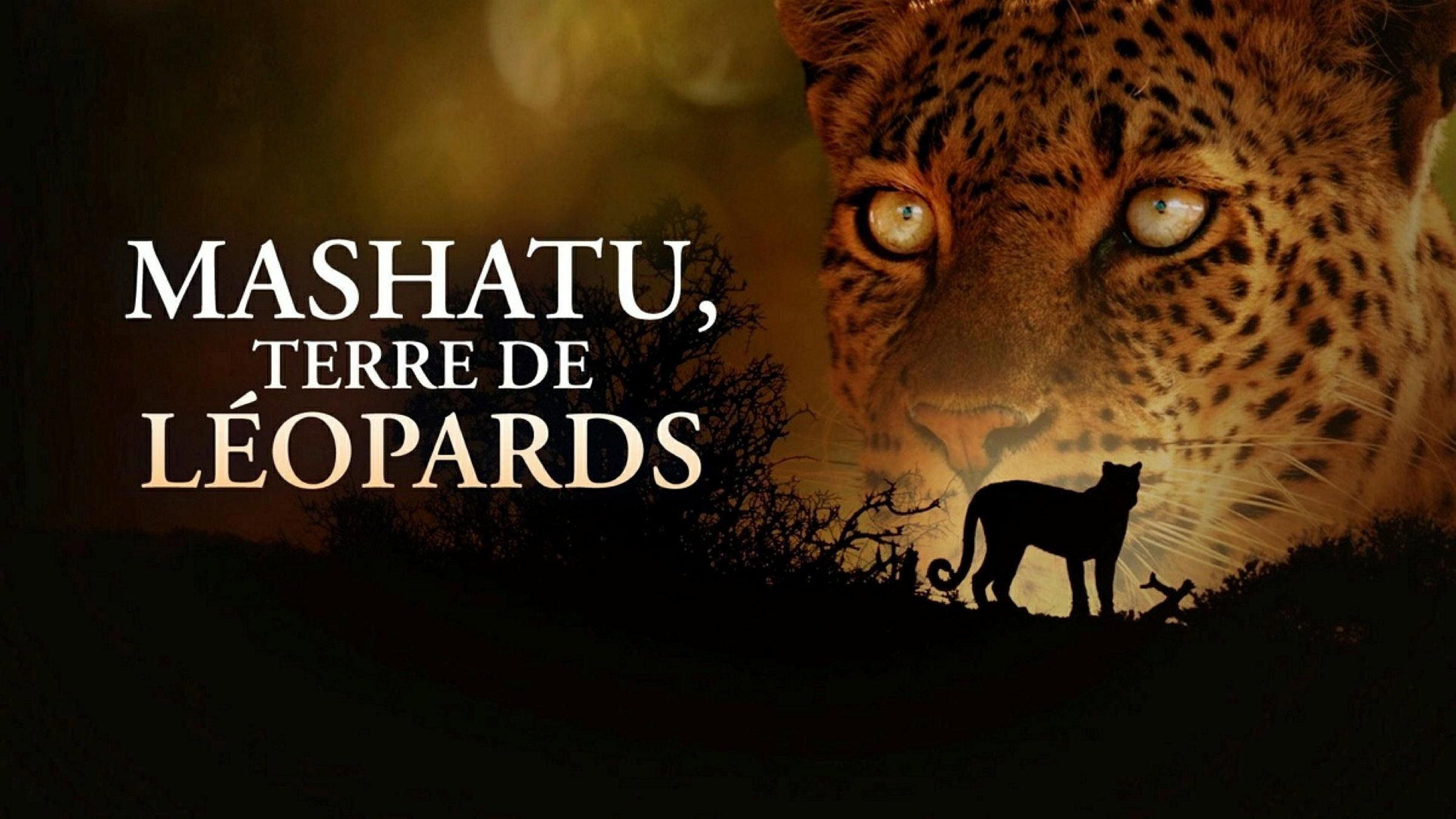 Mashatu: Land of Leopards 2024 movie scene