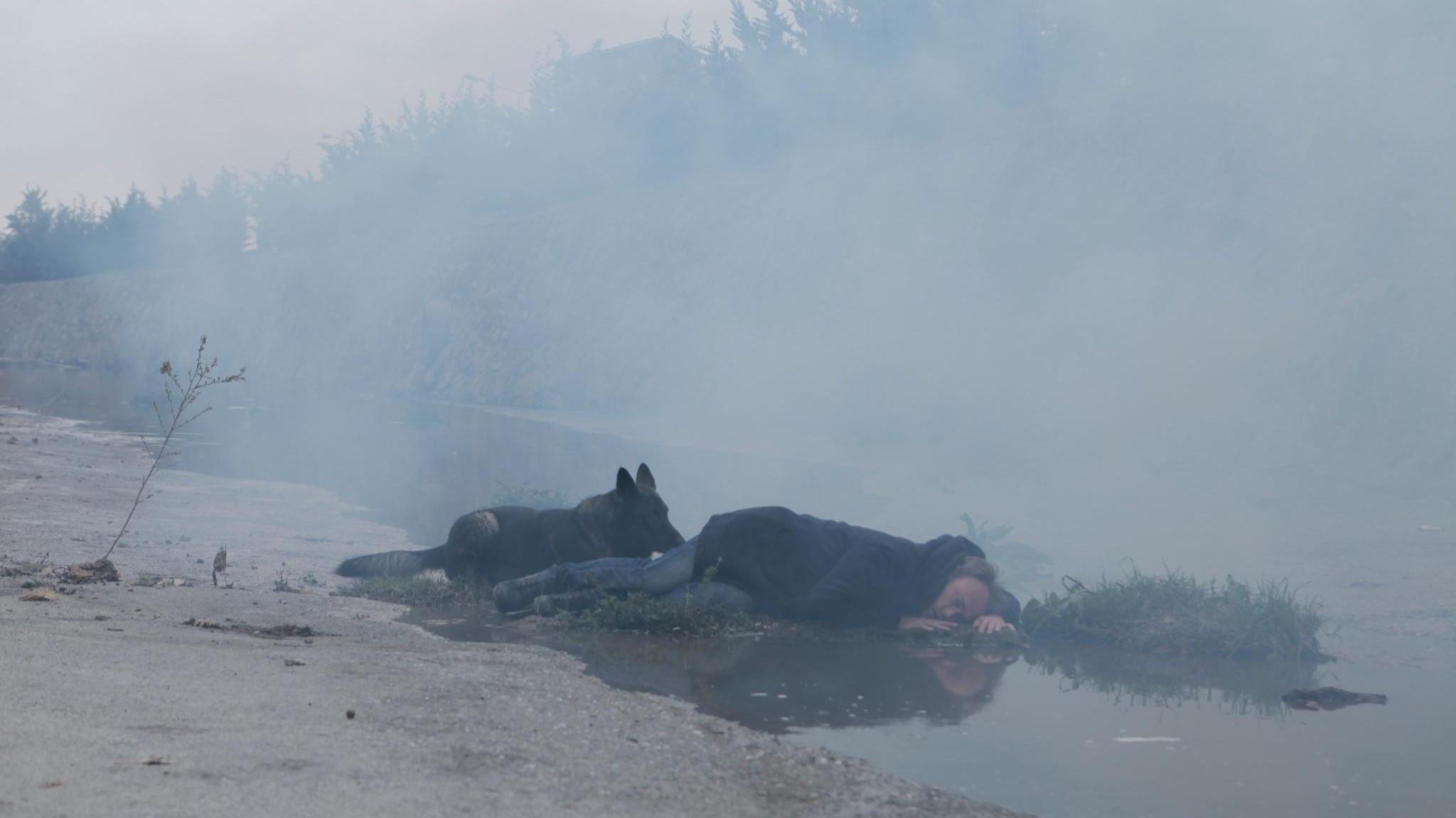 Why Can't I Be Tarkovsky? 2015 movie scene