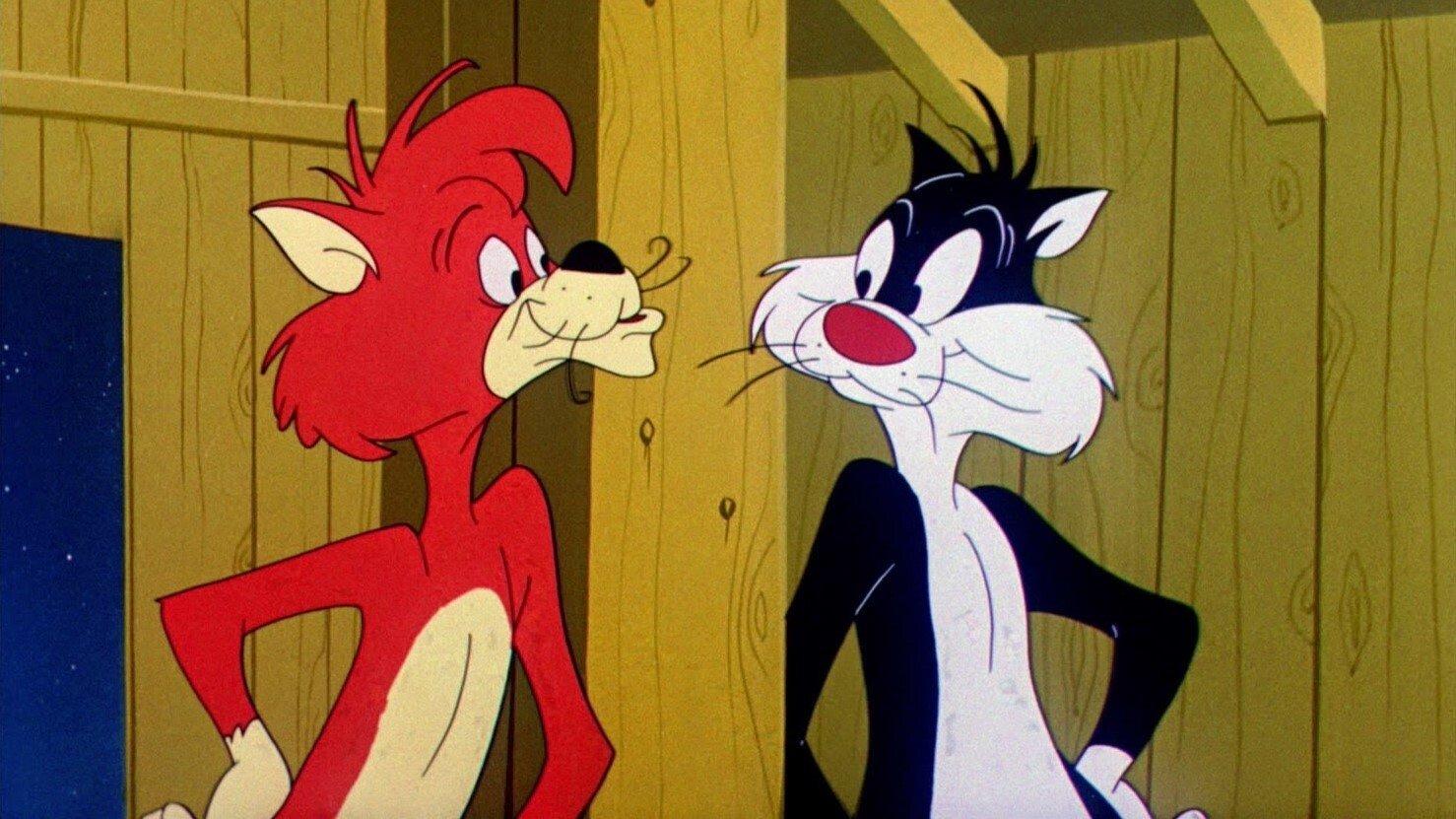 Mouse and Garden 1960 movie scene
