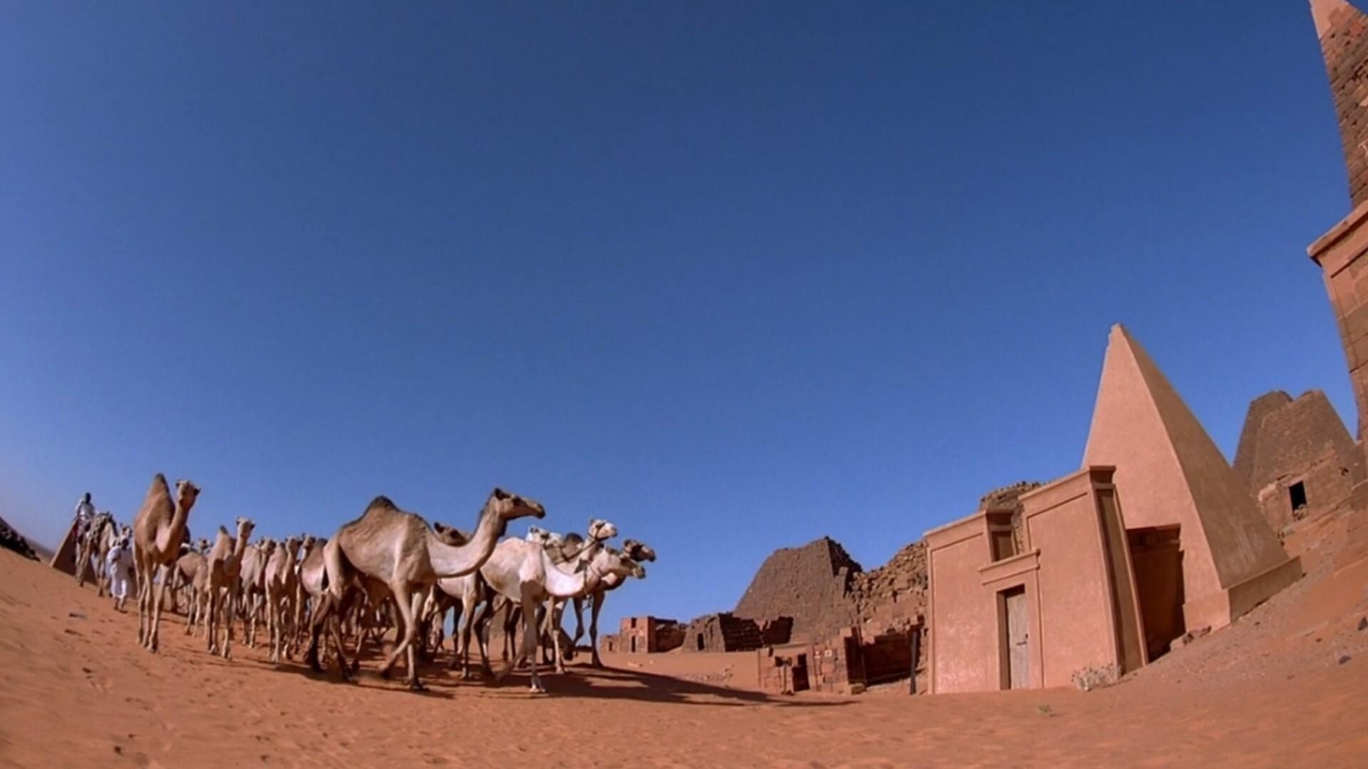 Mystery of the Nile 2005 movie scene