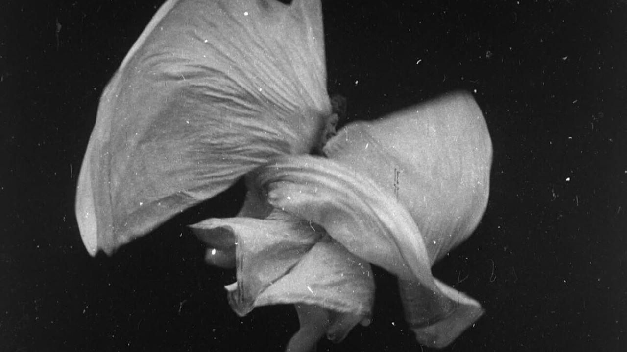 Serpentine Dance by Mme. Bob Walter 1897 movie scene