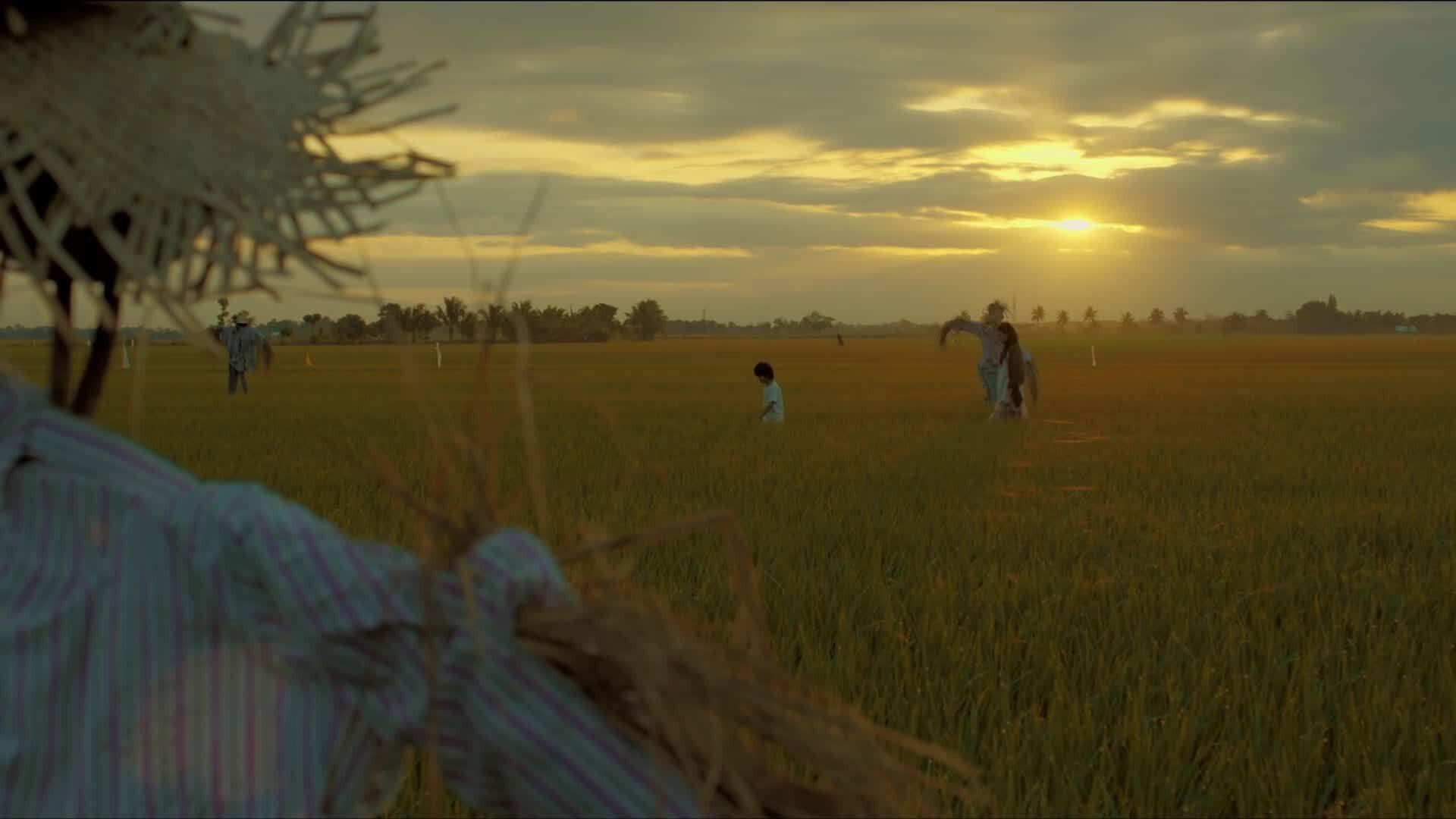 Scarecrow 2015 movie scene