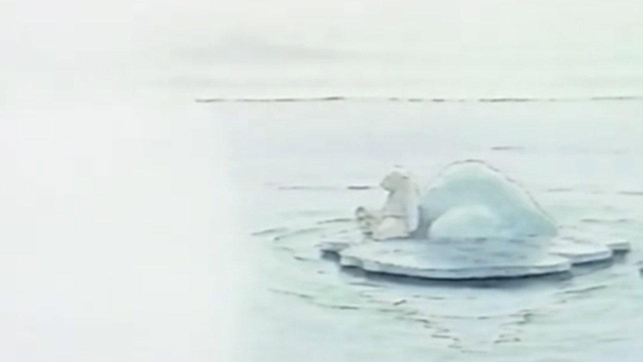 Little Polar Bear 1990 movie scene