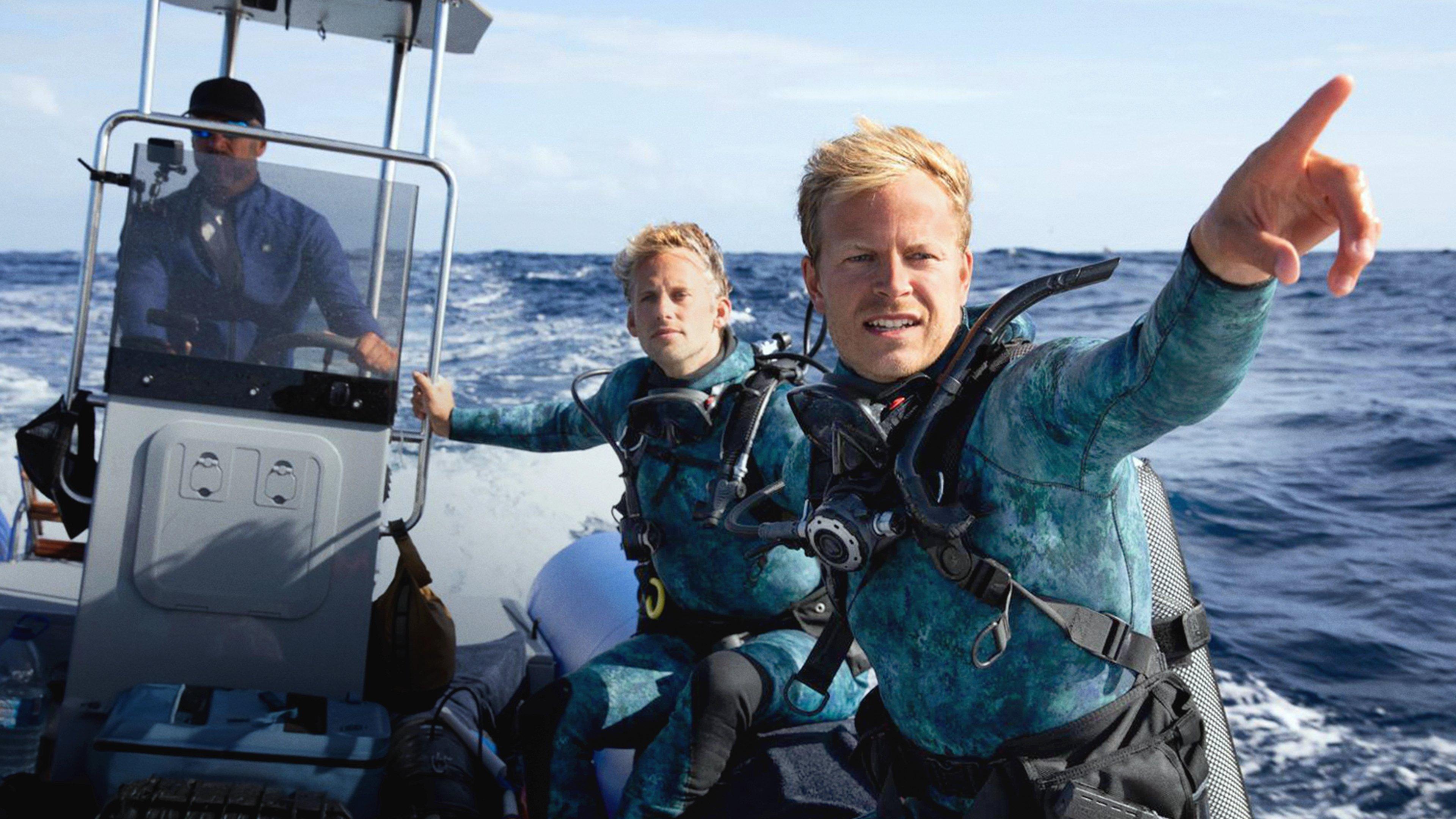 Dolphins Up Close with Bertie Gregory 2025 movie scene