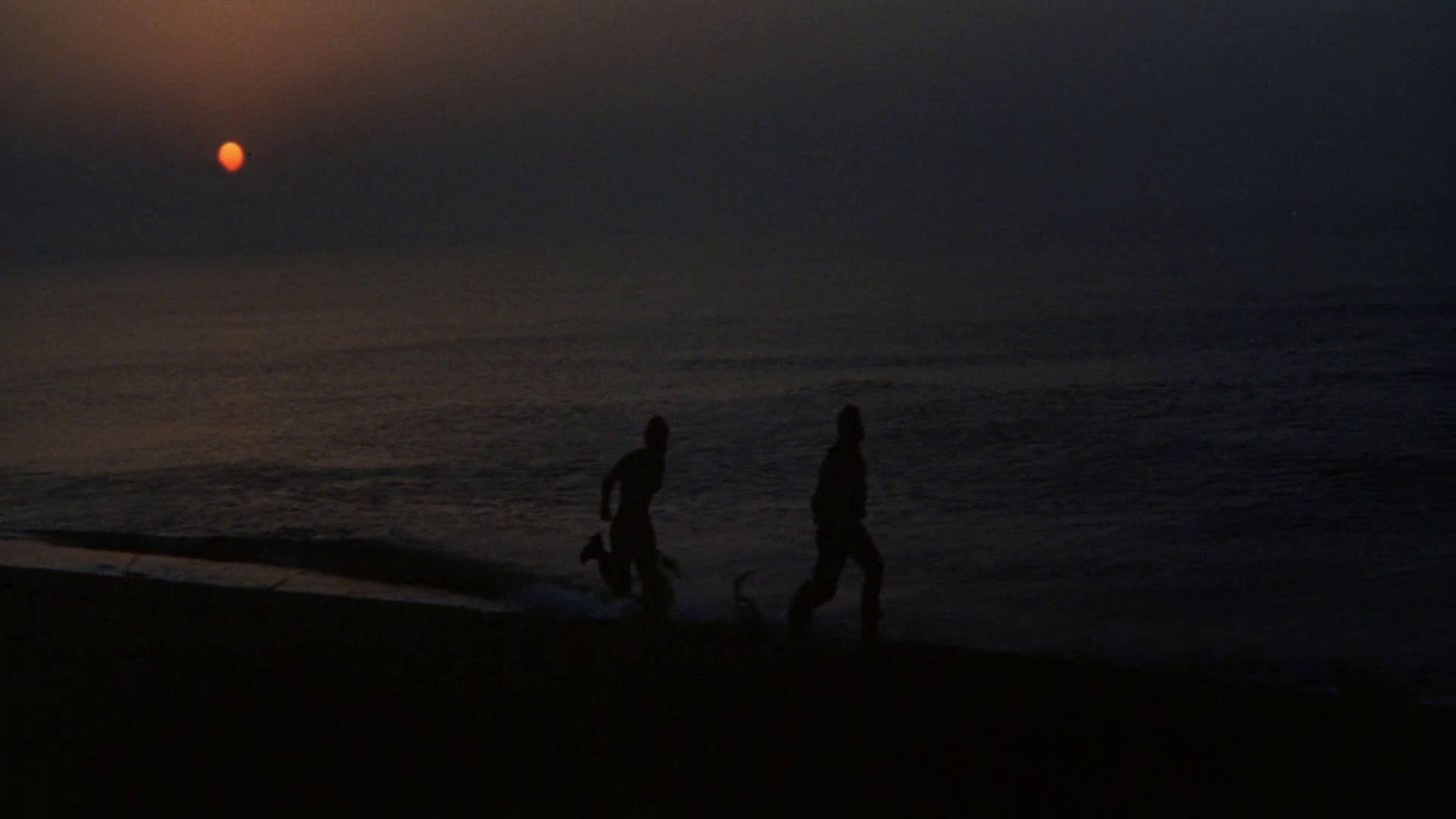 Figures in a Landscape 1970 movie scene